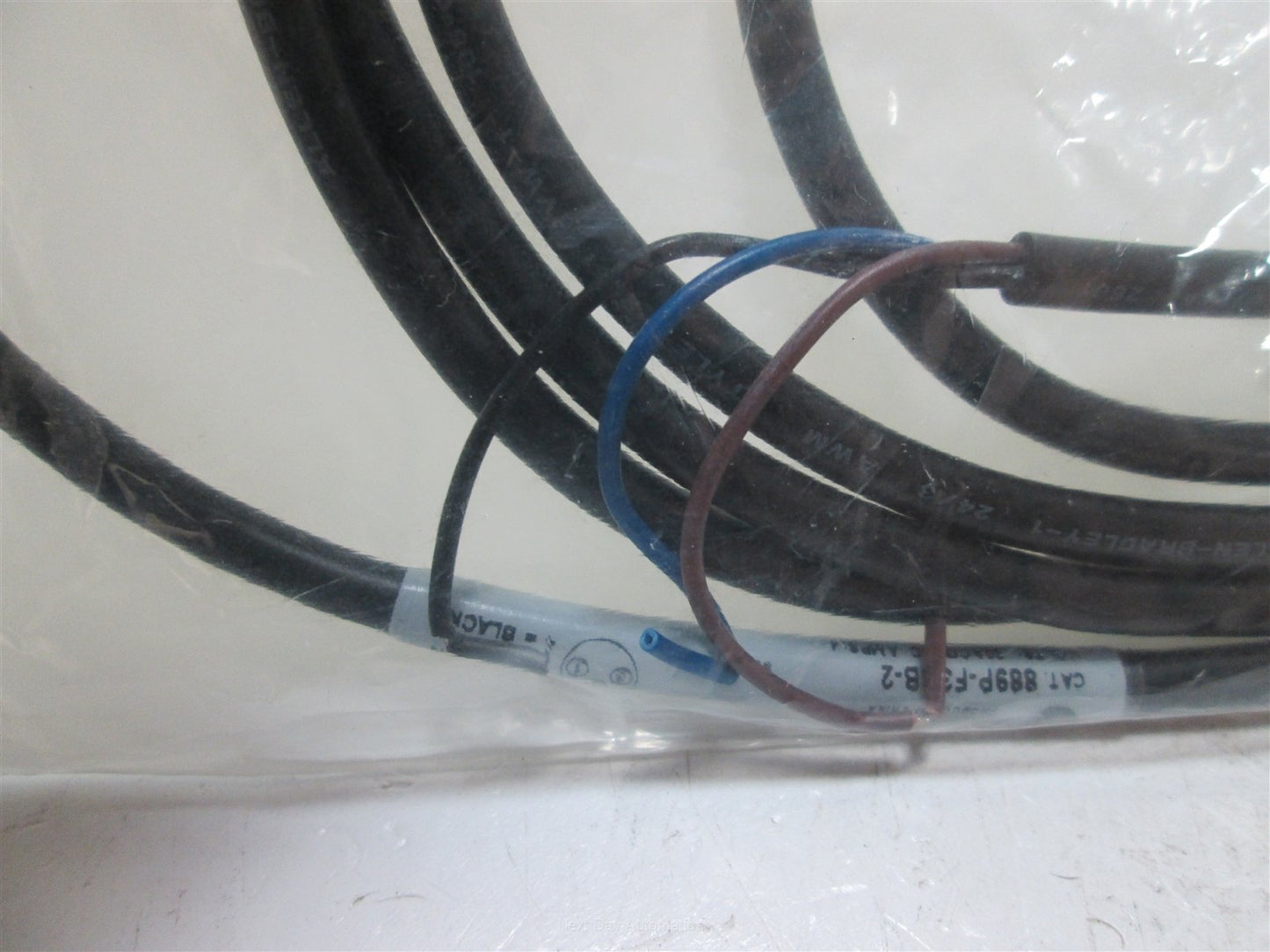 New Allen Bradley 889P-F3BB-2 Quick-Disconnect Cable, Pico Straight Connection