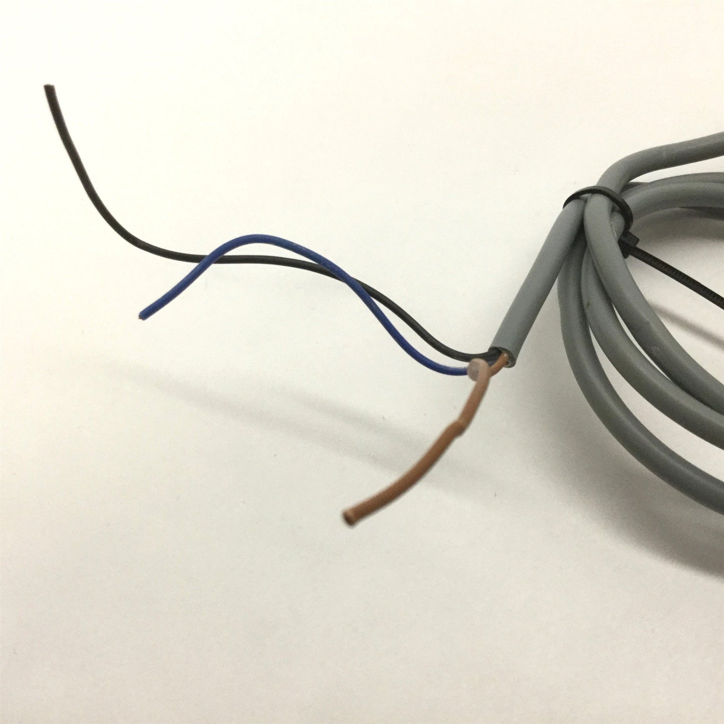 Used Carlo Gavazzi EC5525NPAP Capacitive Proximity Sensor, Output: NPN, Range: 4-25mm