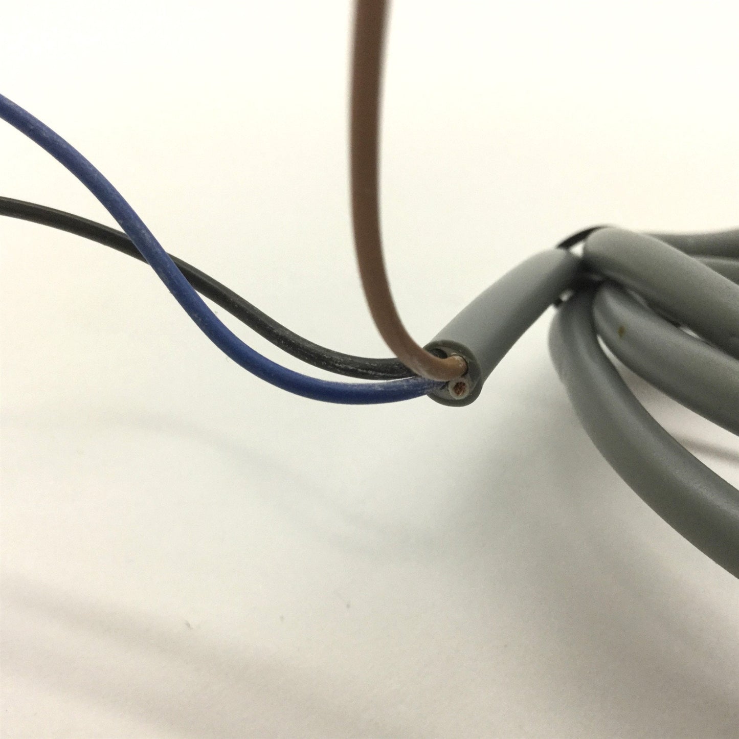 Used Carlo Gavazzi EC5525NPAP Capacitive Proximity Sensor, Output: NPN, Range: 4-25mm