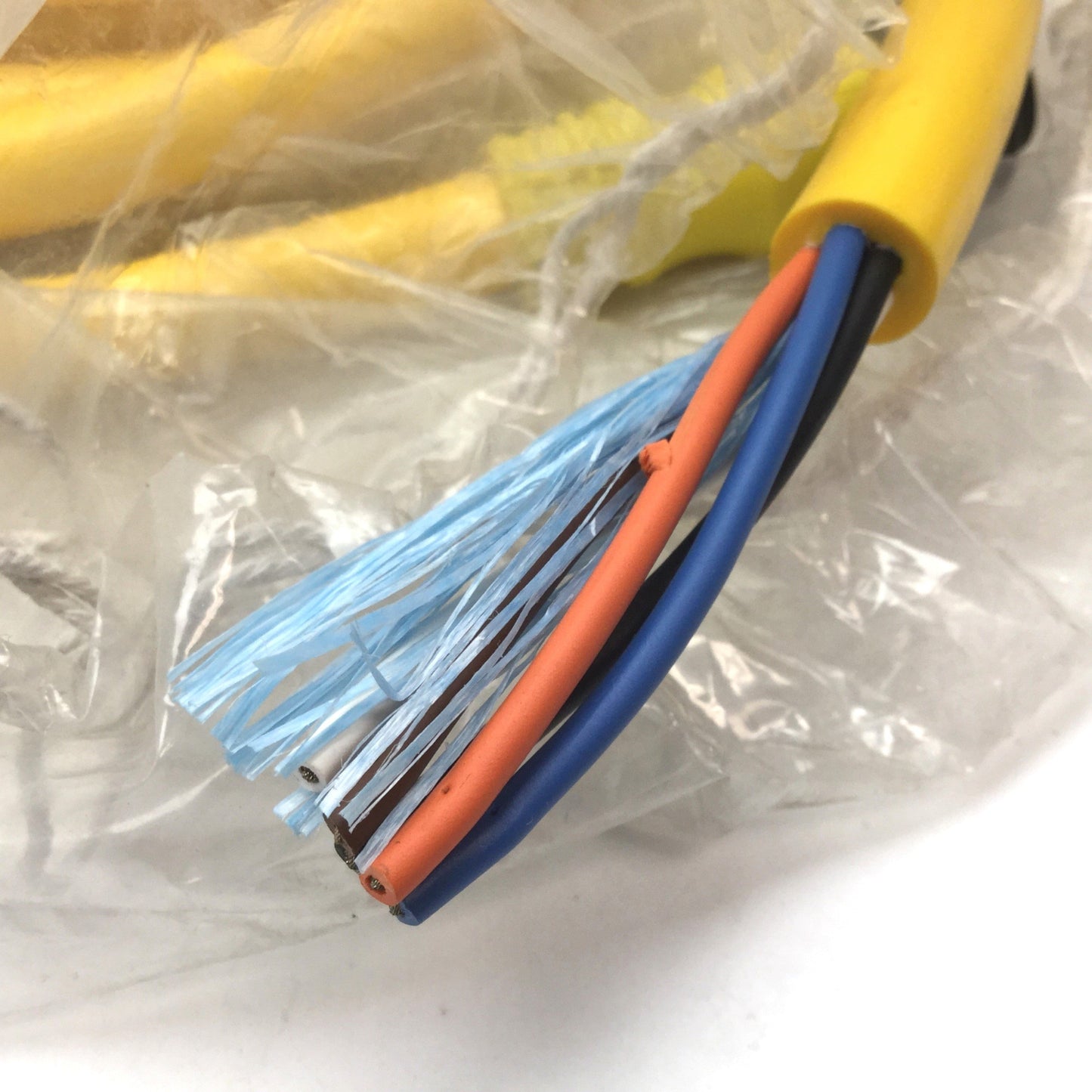 New Allen Bradley 889N-F5AF-12F Quick Disconnect Cordset, Length: 12ft, 5-Pin Female