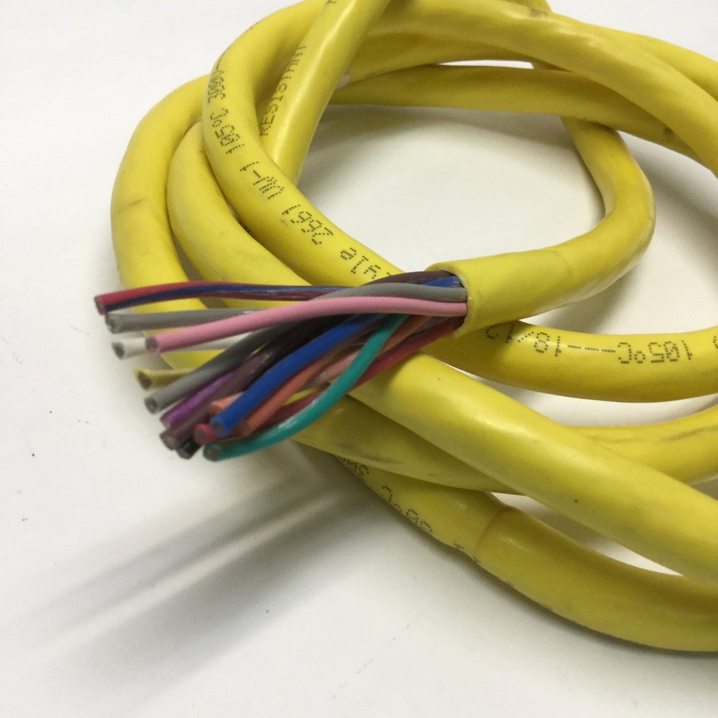 Used Allen Bradley 889M-F12AH Cordset Cable, 12-Pin Mini Plus Female Connector, 1.5m