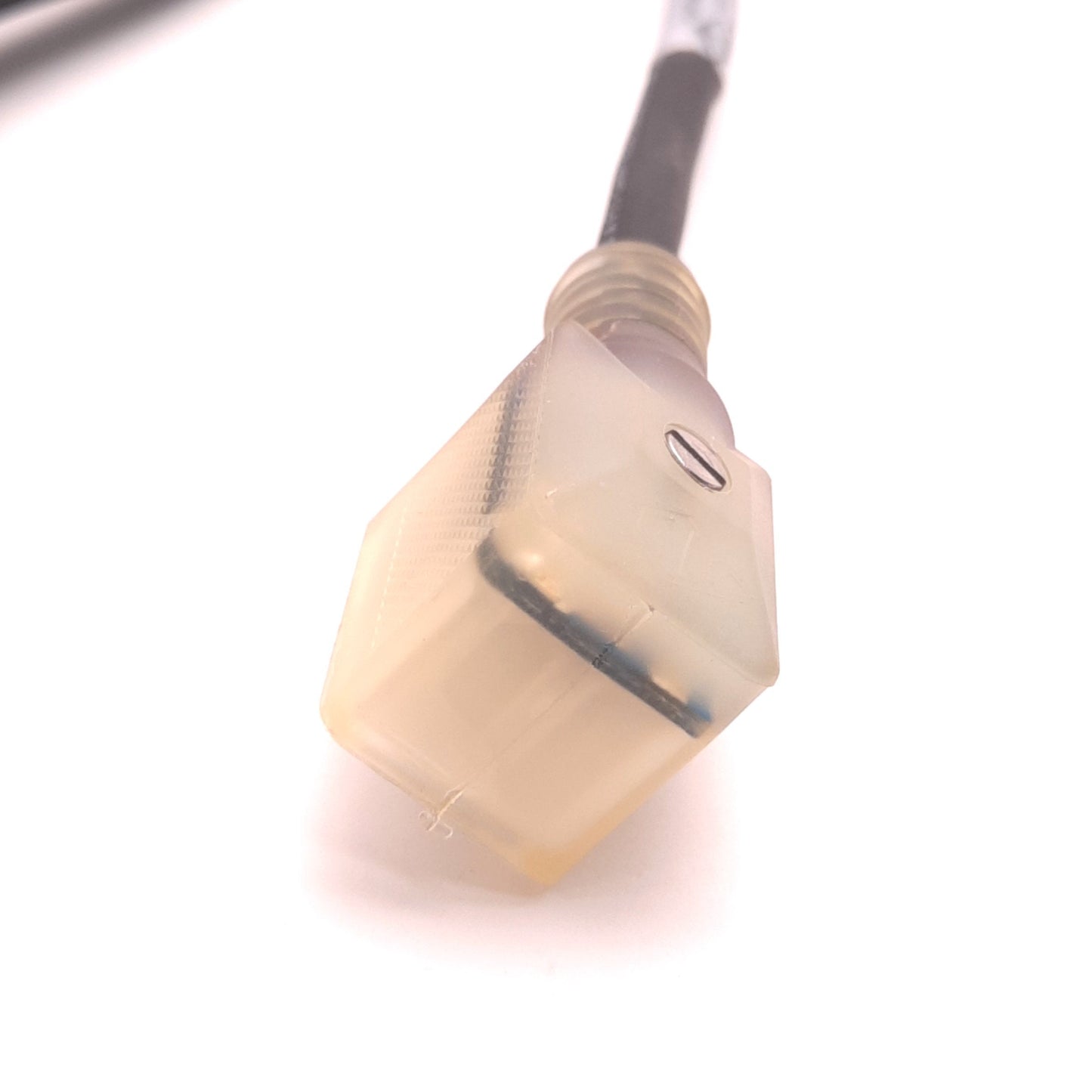 Used Canfield 5J561-251-US0 Mini Solenoid Valve Connector 10A 6-24v AC/DC , 6 Feet