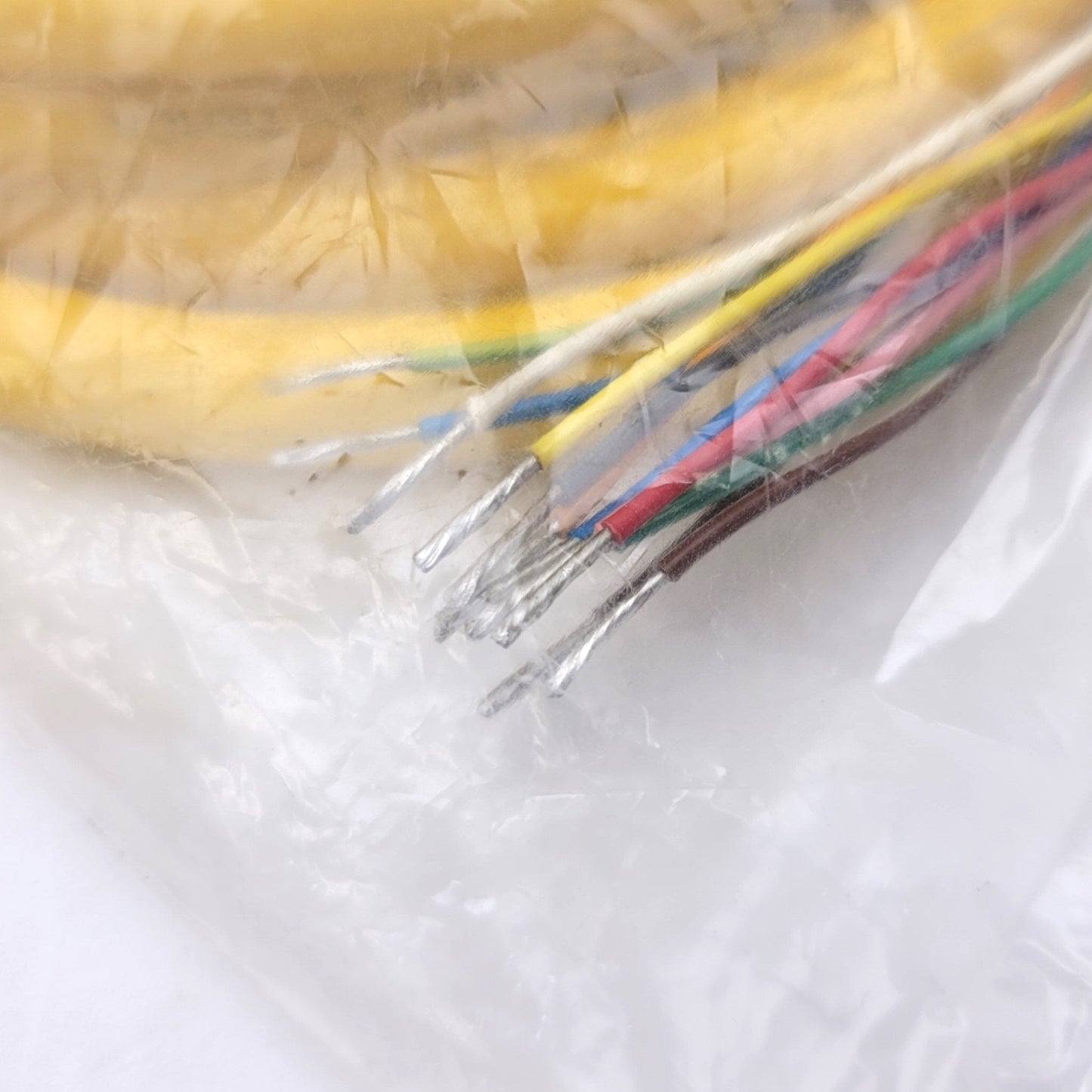 New Turck CSM 12-12-5/S101 Single Ended Cordset, 12-Pin M23 Male, 5 Meter