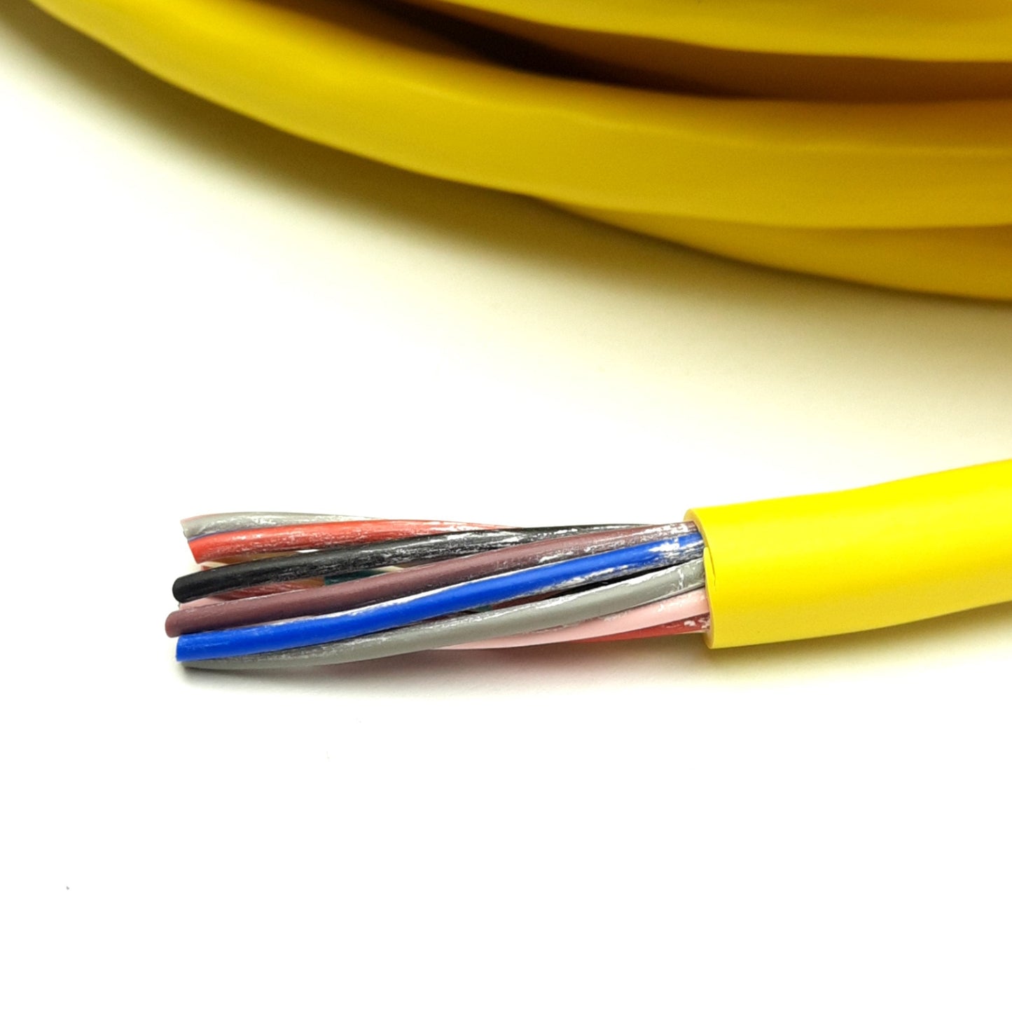 New Allen Bradley 889M-F12AH-15 M23 Cable Female, Straight 12 Pin 30V, 6A,