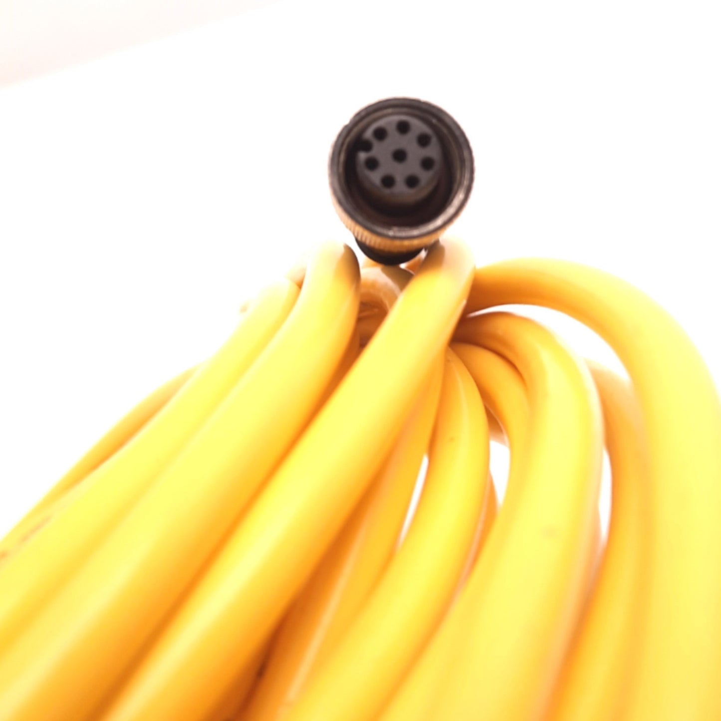 New Banner QDE-825D Cordset, Length: 26ft, M12, 8-Pin Female, 300V, 22AWG