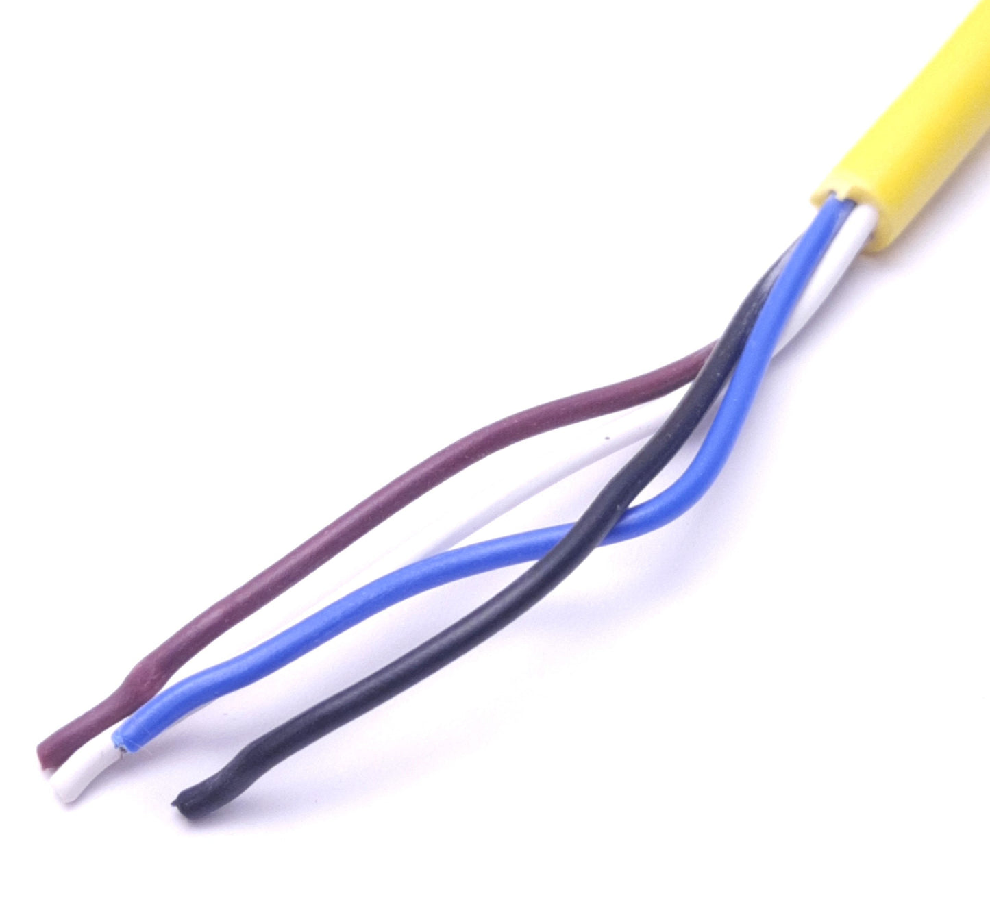 New Allen Bradley 889D-F4AC-10 Sensor Cable Cordset 4-Pin, DC Micro Female, 10m