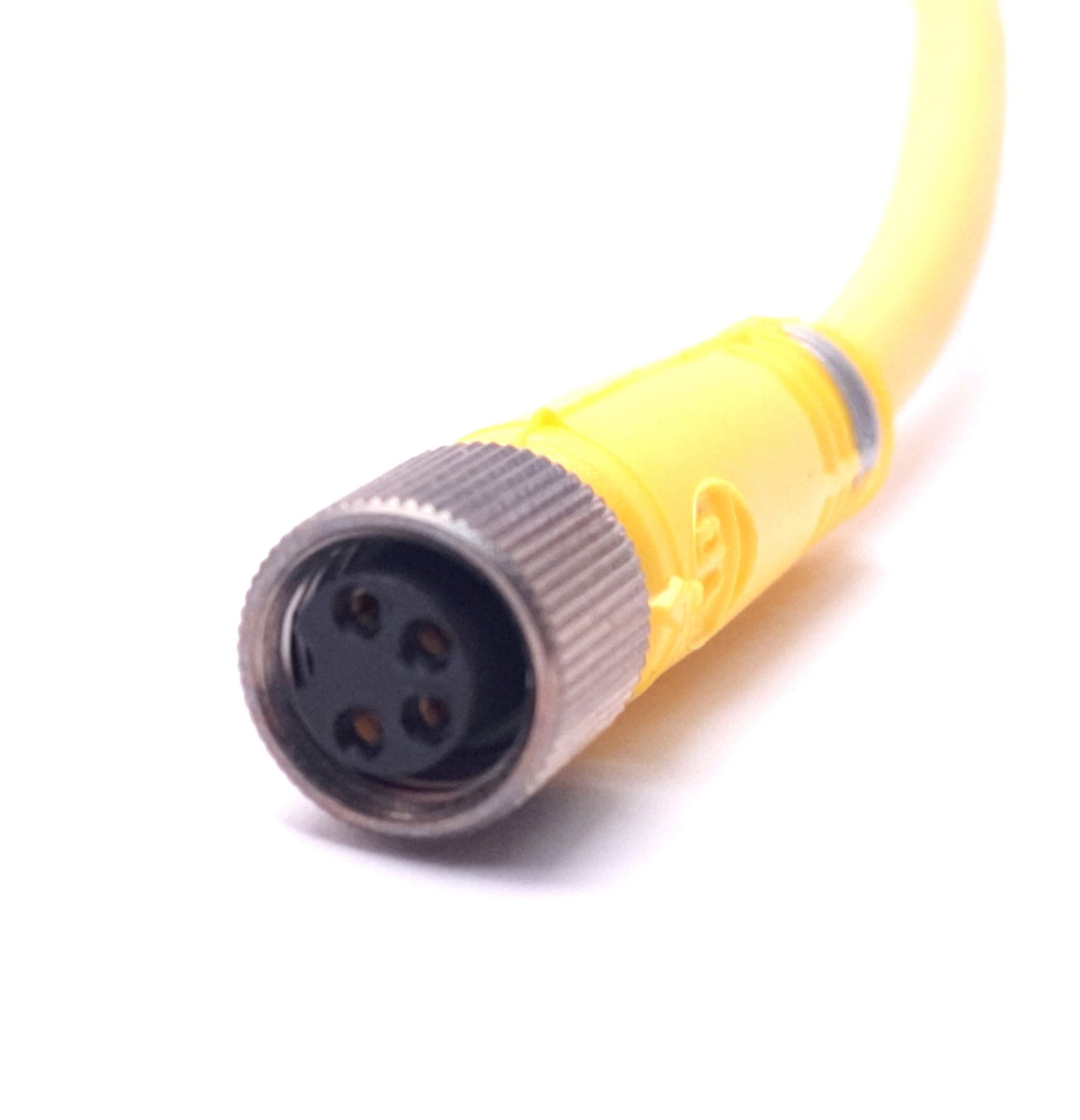 New Allen-Bradley 889P-F4HB-5 Cable Cordset Pico M8 Female 4-Pin to Flying Leads, 5m