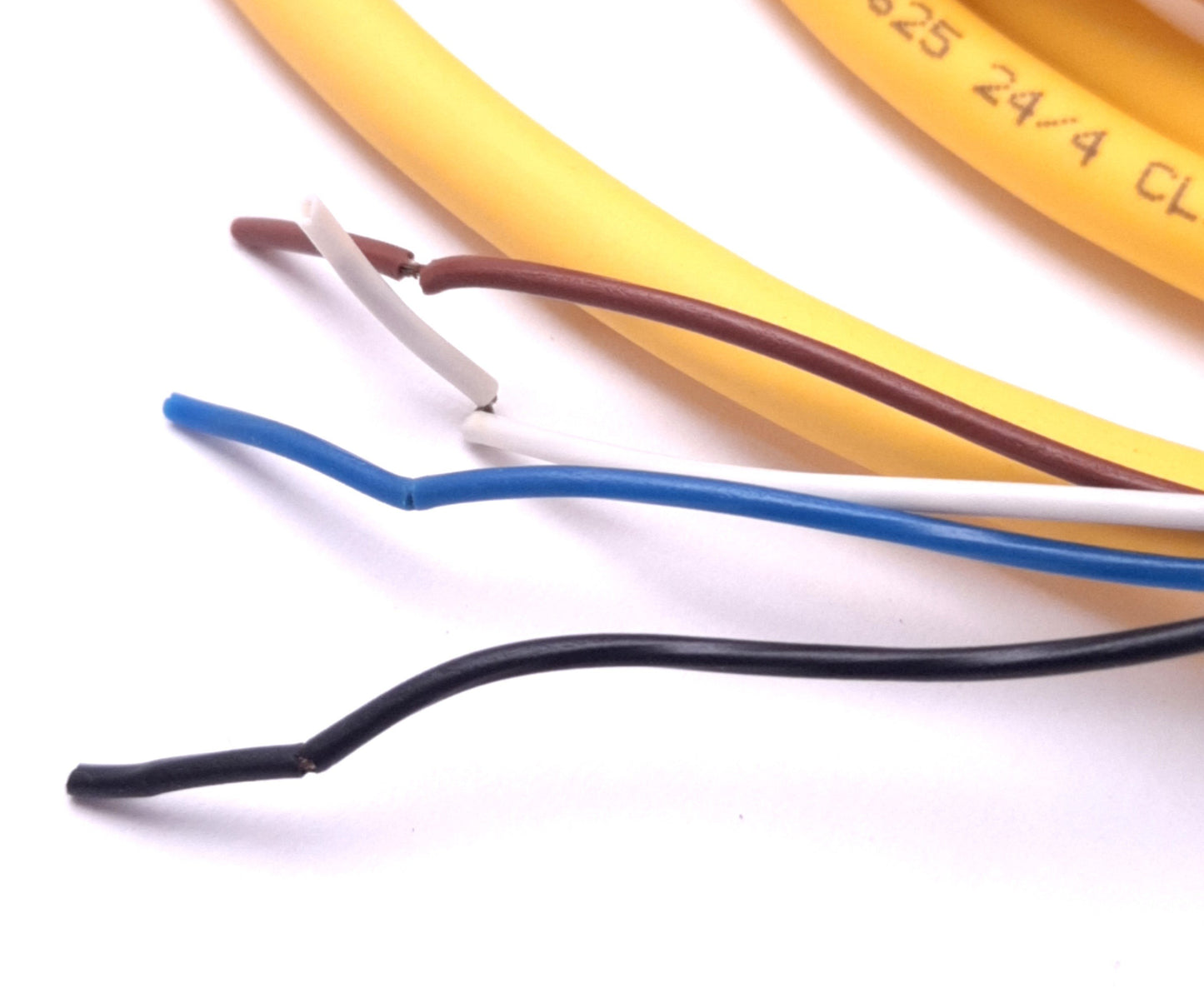 New Allen-Bradley 889P-F4HB-5 Cable Cordset Pico M8 Female 4-Pin to Flying Leads, 5m