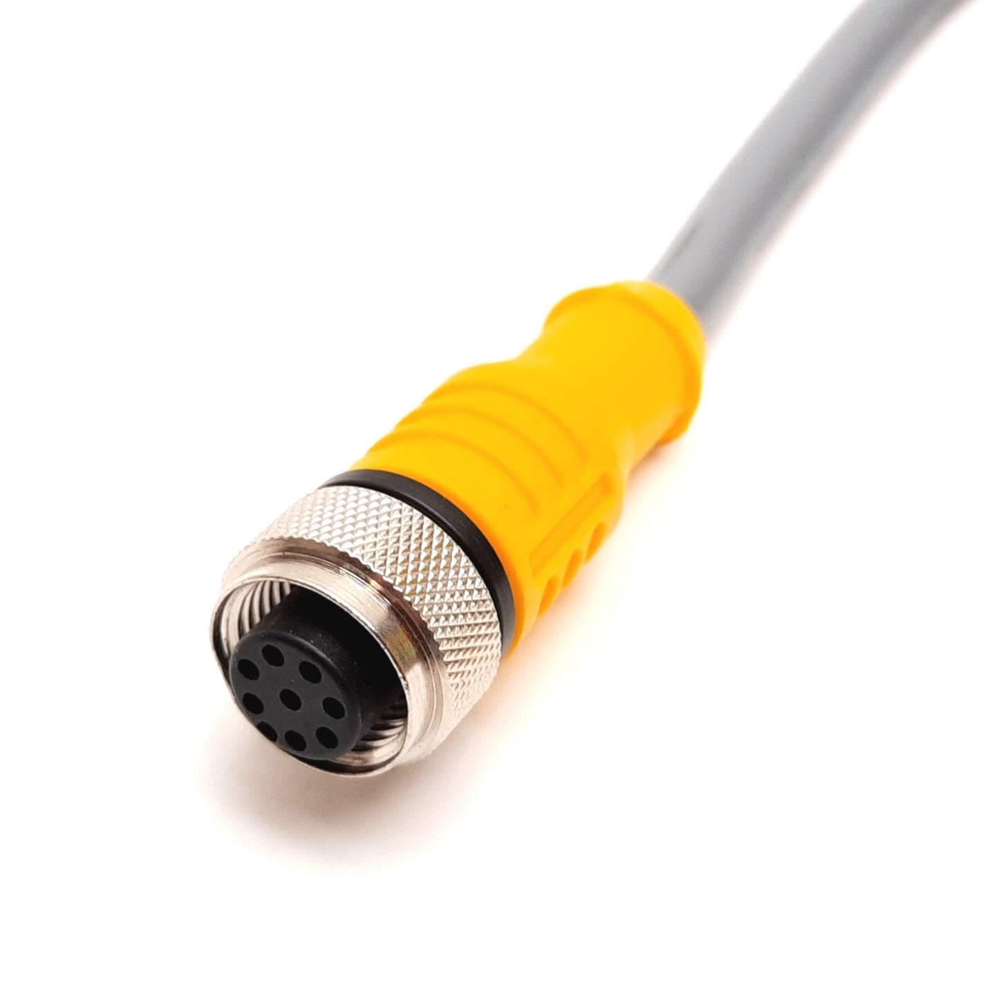 New Turck RKC 8T-6-WSC 8T Cordset, 8-Pin M12 90ø Male To Straight Female, 6m