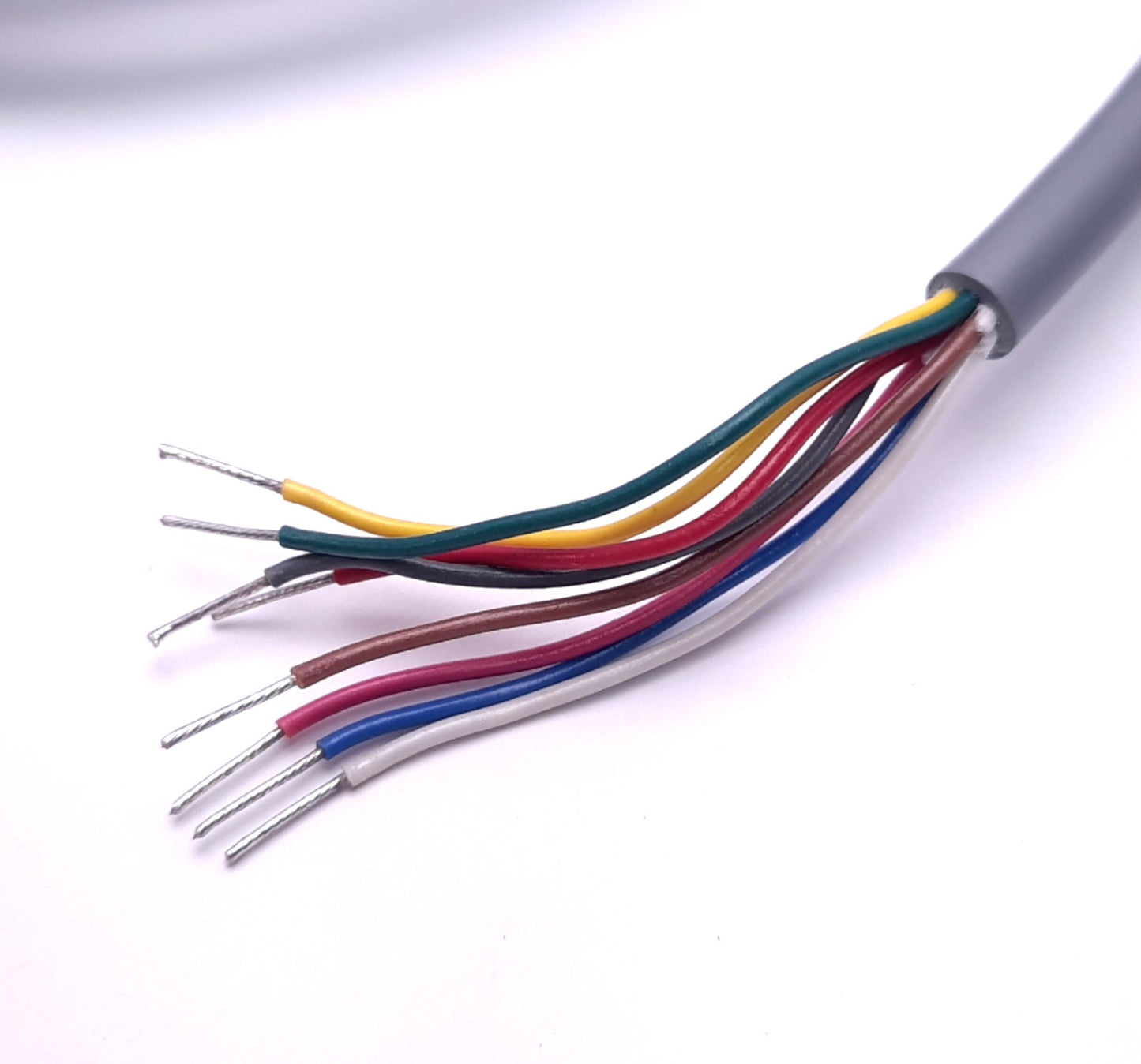 New Turck RKC 8T-5 U5311-52 Single End Cordset M12 8-Pin Female, 5m Length