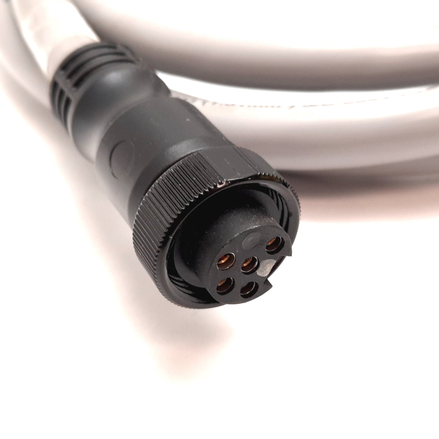 New Allen Bradley 889N-F65GFNM-2 Mini / Mini Plus Cable, 5-Pin Male to Female, 2m