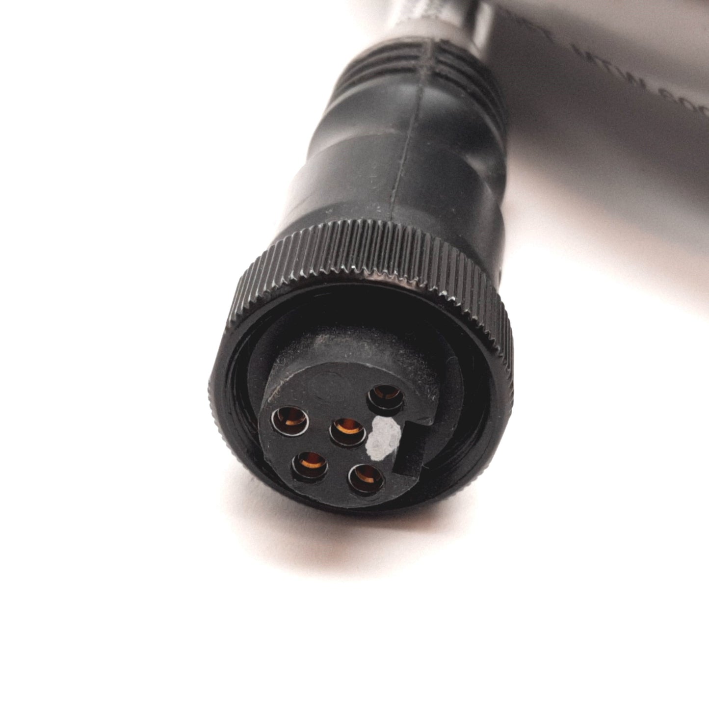 New Allen Bradley 889N-F65GFNM-5 Mini / Mini Plus Cable, 5-Pin Male to Female, 5m