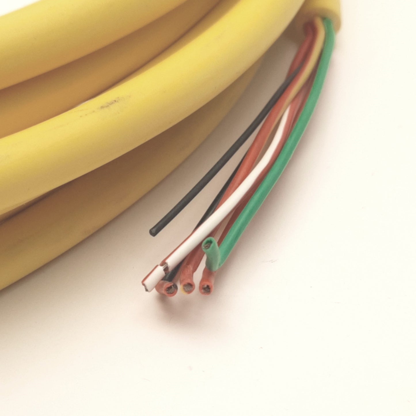 New Allen-Bradley 889R-F5UEA-5 Single End Cordset M12 4-Pin Female to Leads, 5m