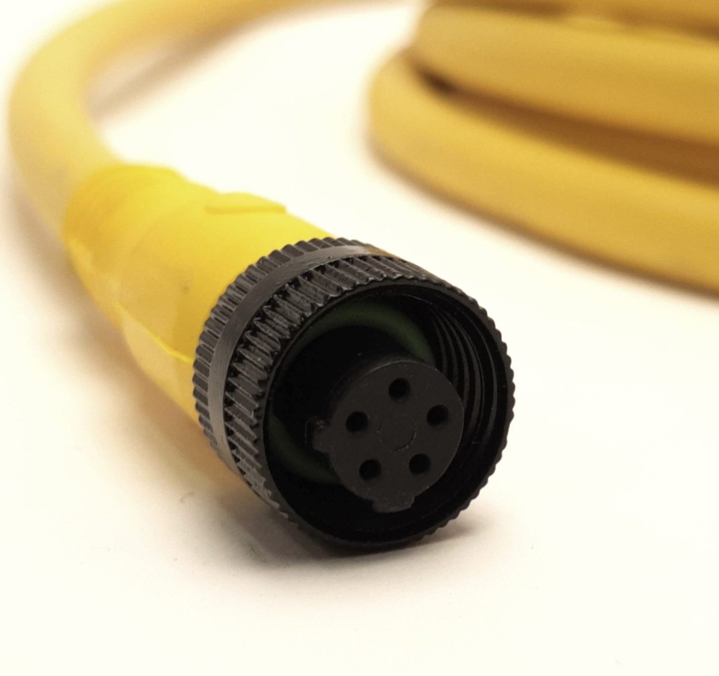 New Allen-Bradley 889R-F5UEA-5 Single End Cordset M12 4-Pin Female to Leads, 5m