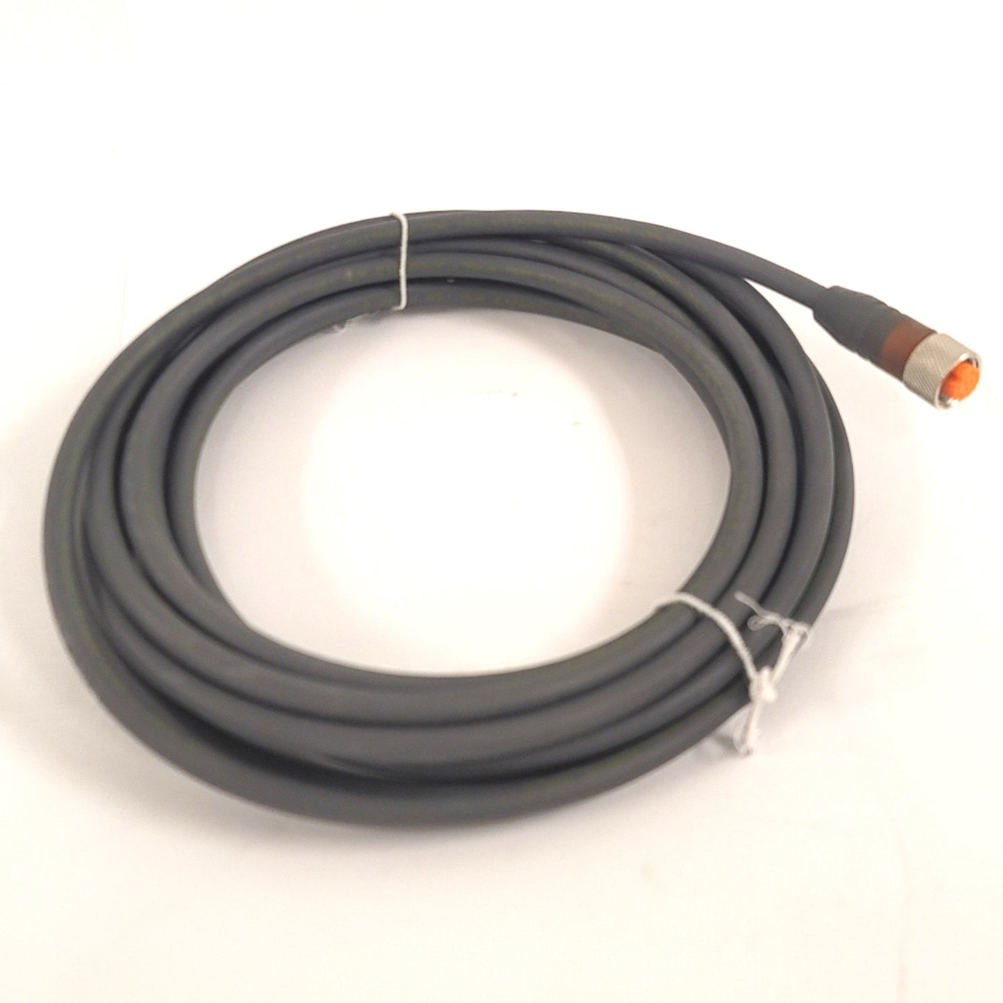 New Lumberg Automation 103590 Cable Assembly M12 12-Pin To Flying Leads, 5 Meter