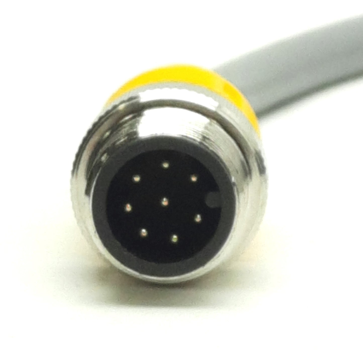 New Turck RKC 8T-12-RSC 8T Cordset, Straight Female to Male M12, 8-Pin, 2A, 12m