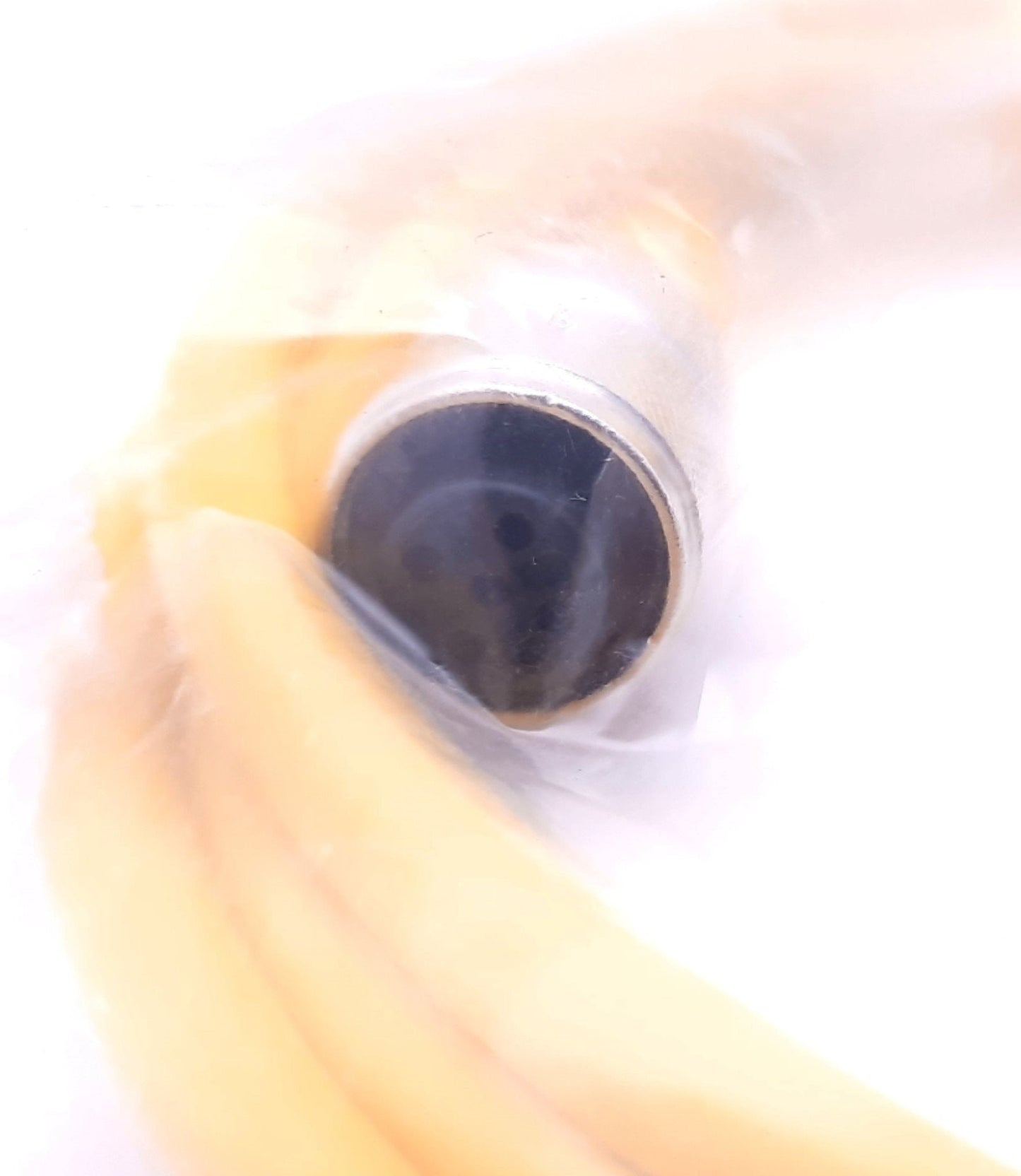 New Turck RK 4.43T-1.2-RS 4.43T Cordset M12 Eurofast Male Straight to M12 Female