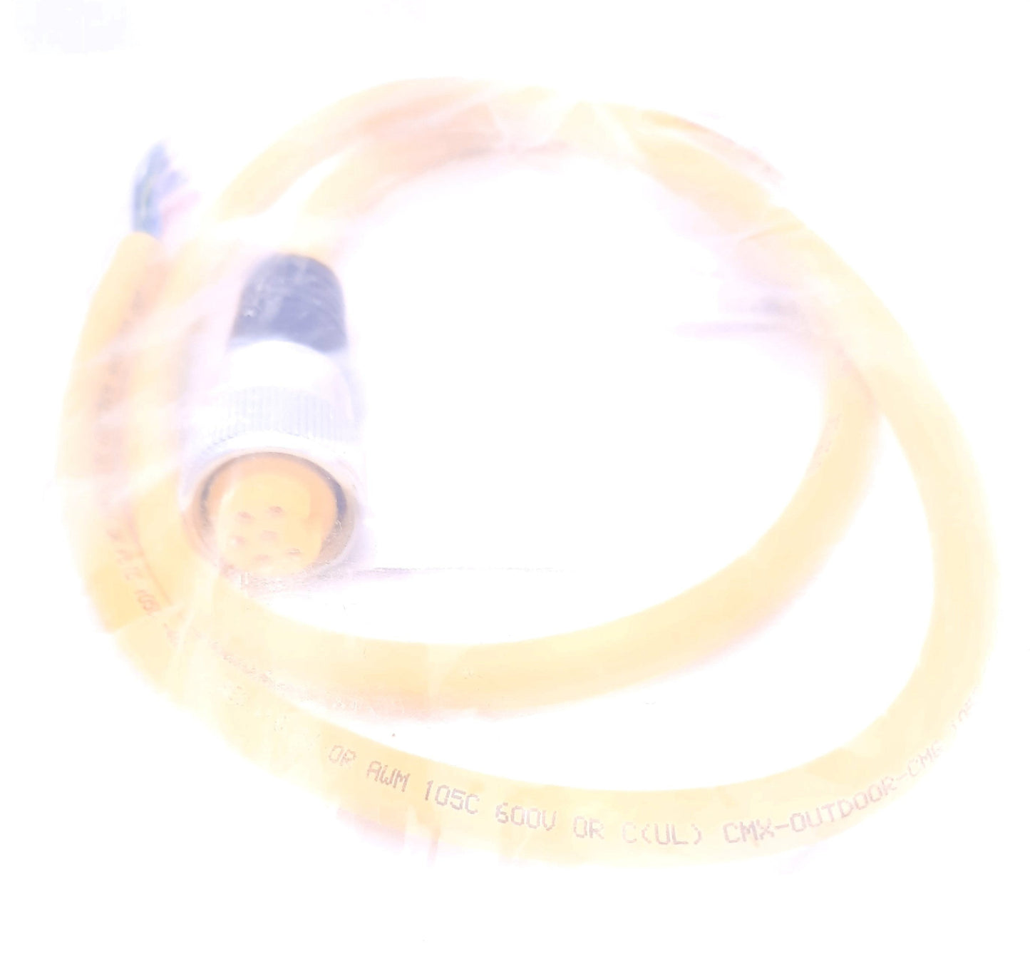 New Turck P-RKV 63-030-1M Cordset 6 Pin 7/8" -16 UN, Straight, Female 600VAC, 8A