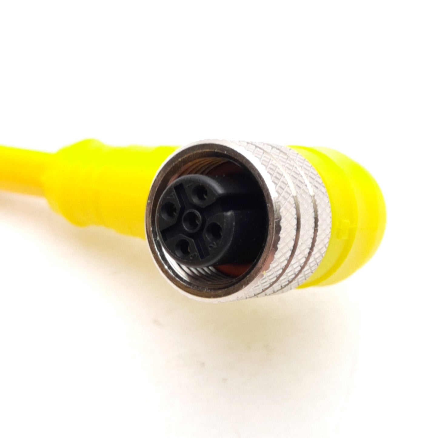 New Brad Harrison 805001A09M050 Cordset Micro-Change M12 5-Pin Right Angle Female