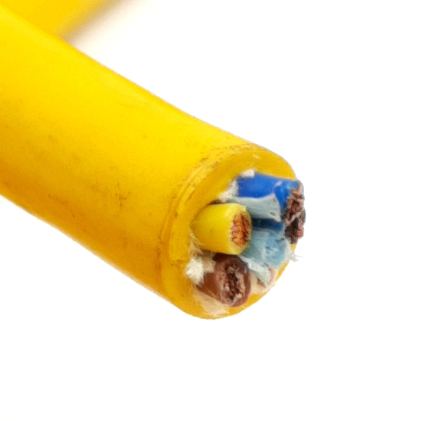 Used Lumberg RKW 50-794/50F Single Ended Cordset, Mini 7/8in 5-Pin Female, 50ft Long