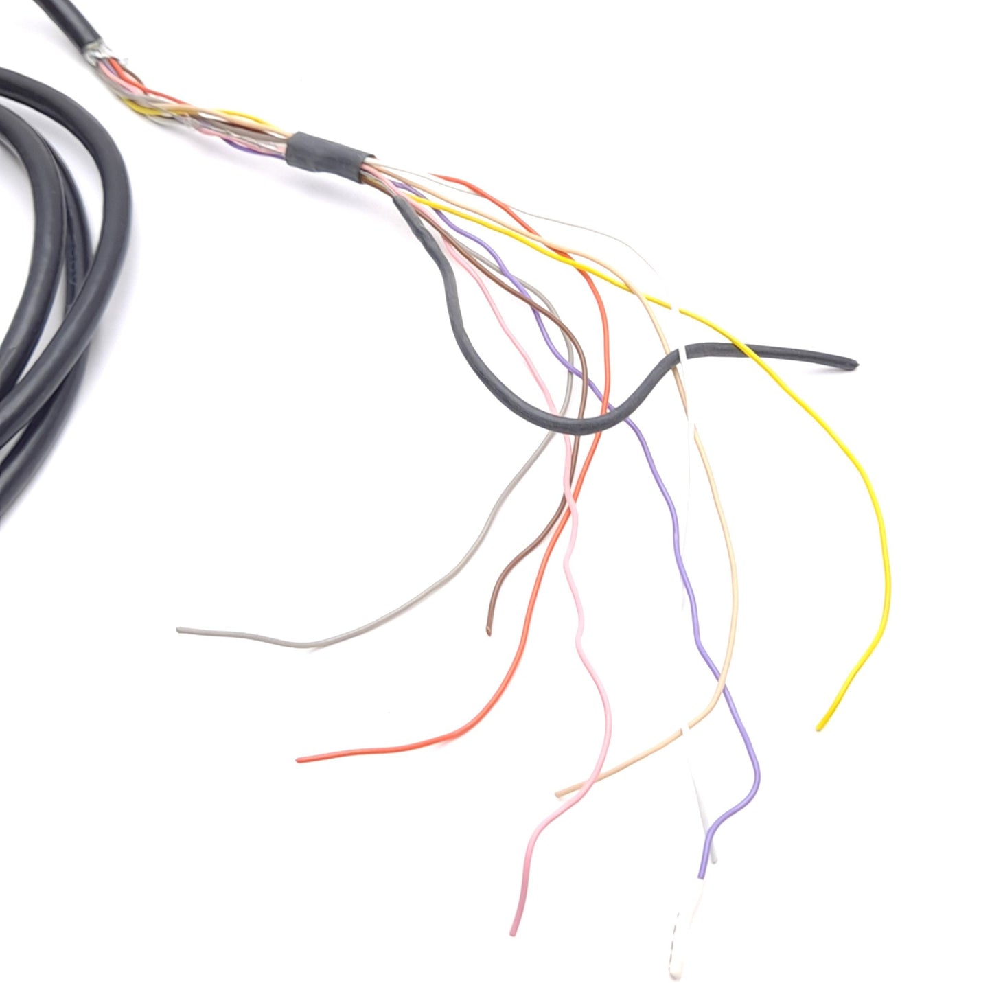Used Omron STI 60567-3030 Light Curtain Cable, M12 8-Pin Female to Flying Leads, 6ft