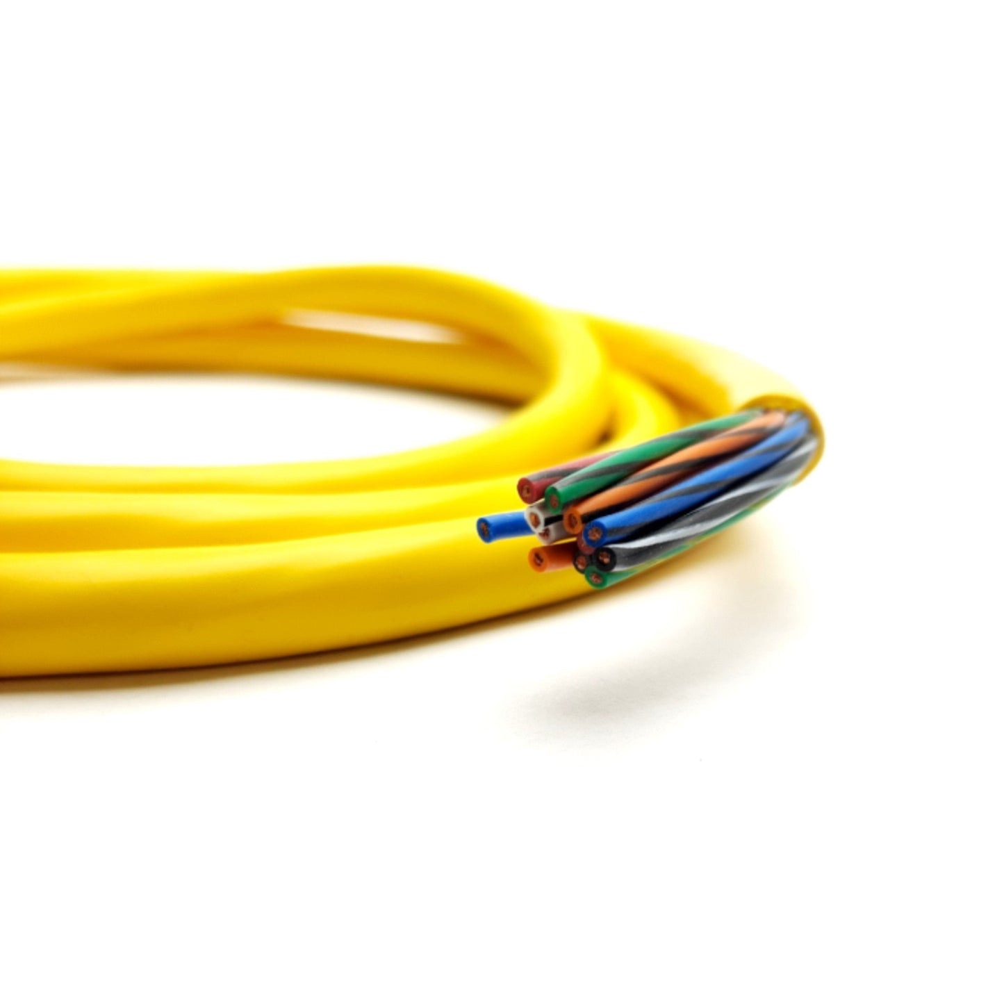 New Mencom MIN-12MPX-6 Cordset MIN Size 3 12-Pin Male To Flying Leads , 6ft