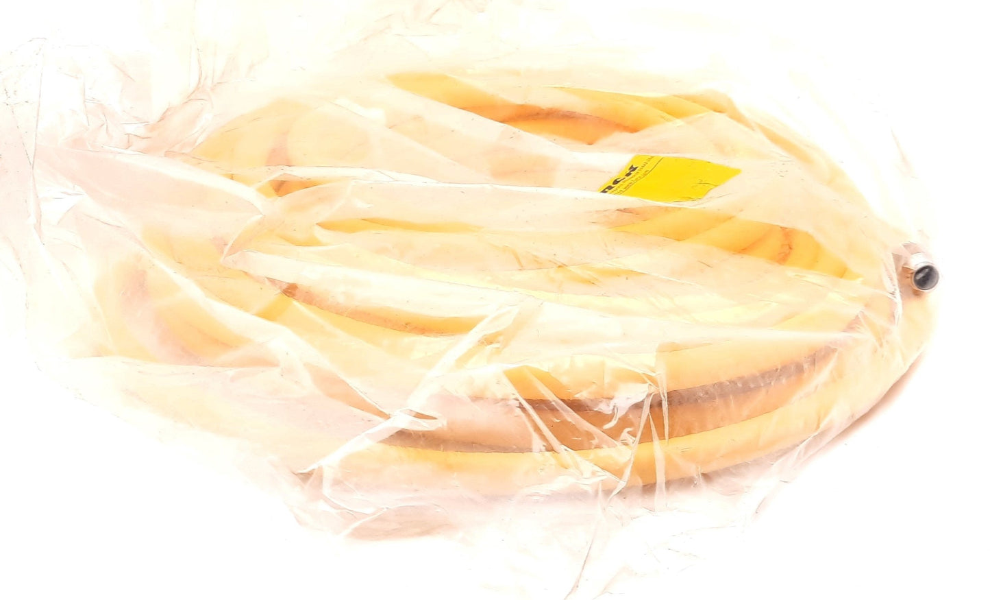 New Turck RKAV 4.4A-15 Cable Cordset 4-pin M12 Eurofast Female Connector 250VAC