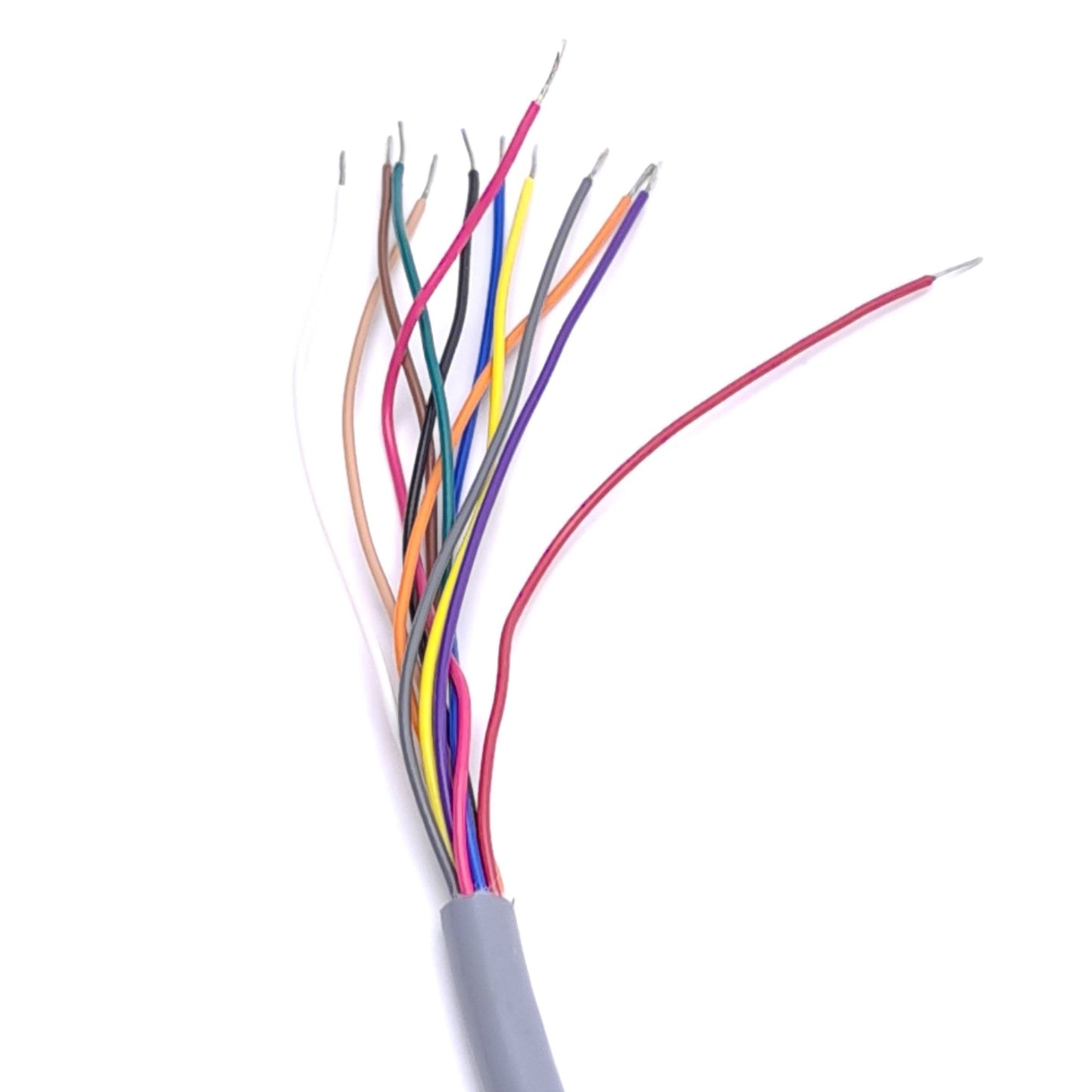 New Turck WKC 12T-10 U-29347 Cable Right Angle M12 12-Pin Female to Flying Leads 10m