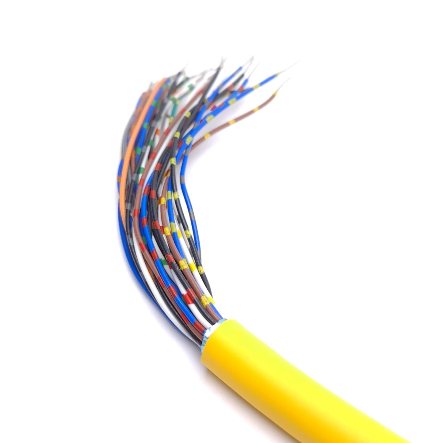 New Turck DKF 28-27-1/S717 U-55005 Receptacle, M27 28-Pin Female to Flying Leads, 1m