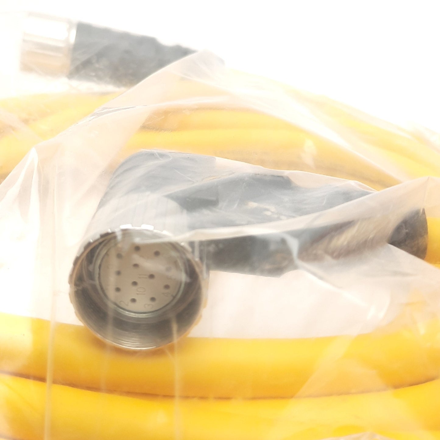 New Turck CSM CKWM 12-12-5/S101 Actuator & Sensor Cable,12pin M23 Male to Female 90°