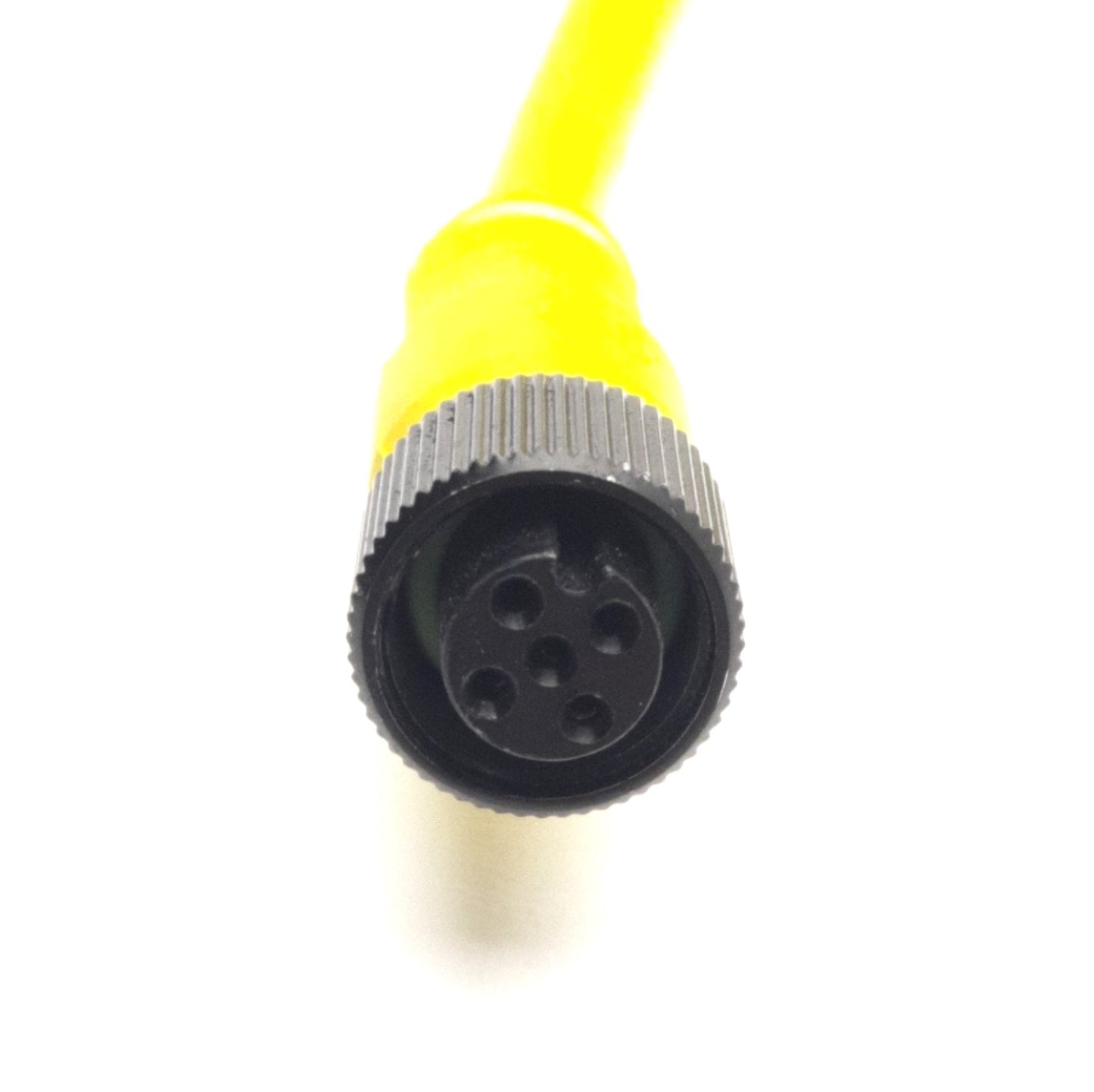 New – Open box Allen Bradley 889D-F5AC-5 Sensor Cable Cordset M12 5-Pin DC Micro F 5m