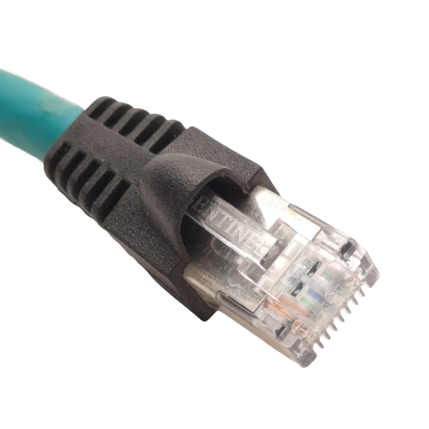New Lot of 2 Lumberg 0985 856 500/1M Industrial Ethernet Cable, 4-Pair, 1m Long