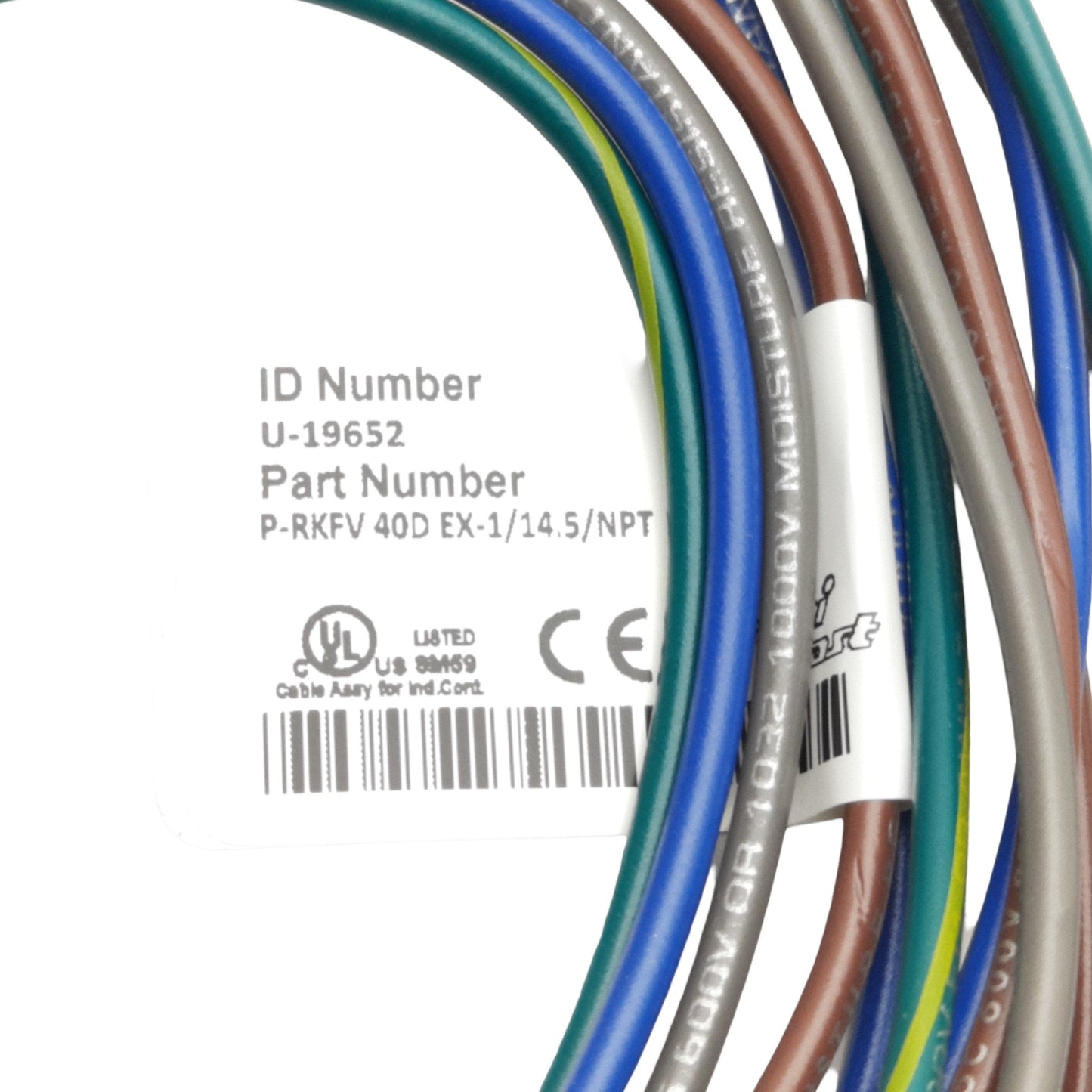 New Turck P-RKFV 40D EX-1/14.5/NPT Cordset 7/8" 4-P MiniFast Female/Leads, 600V 9A