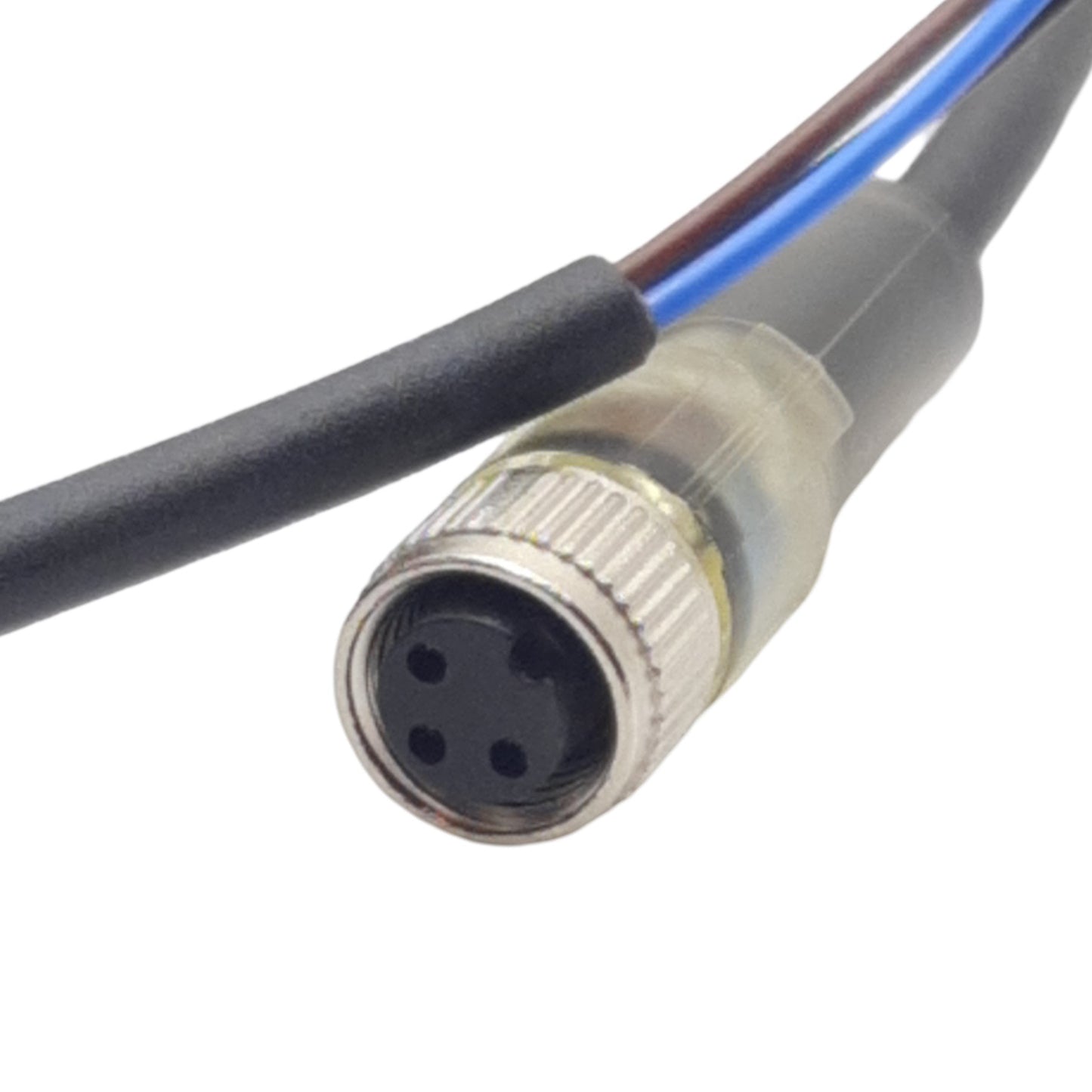 New Baumer ESG 32SH0500 Cordset, M8 3-Pin Straight Female to 3-Wire Flying Leads, 5m