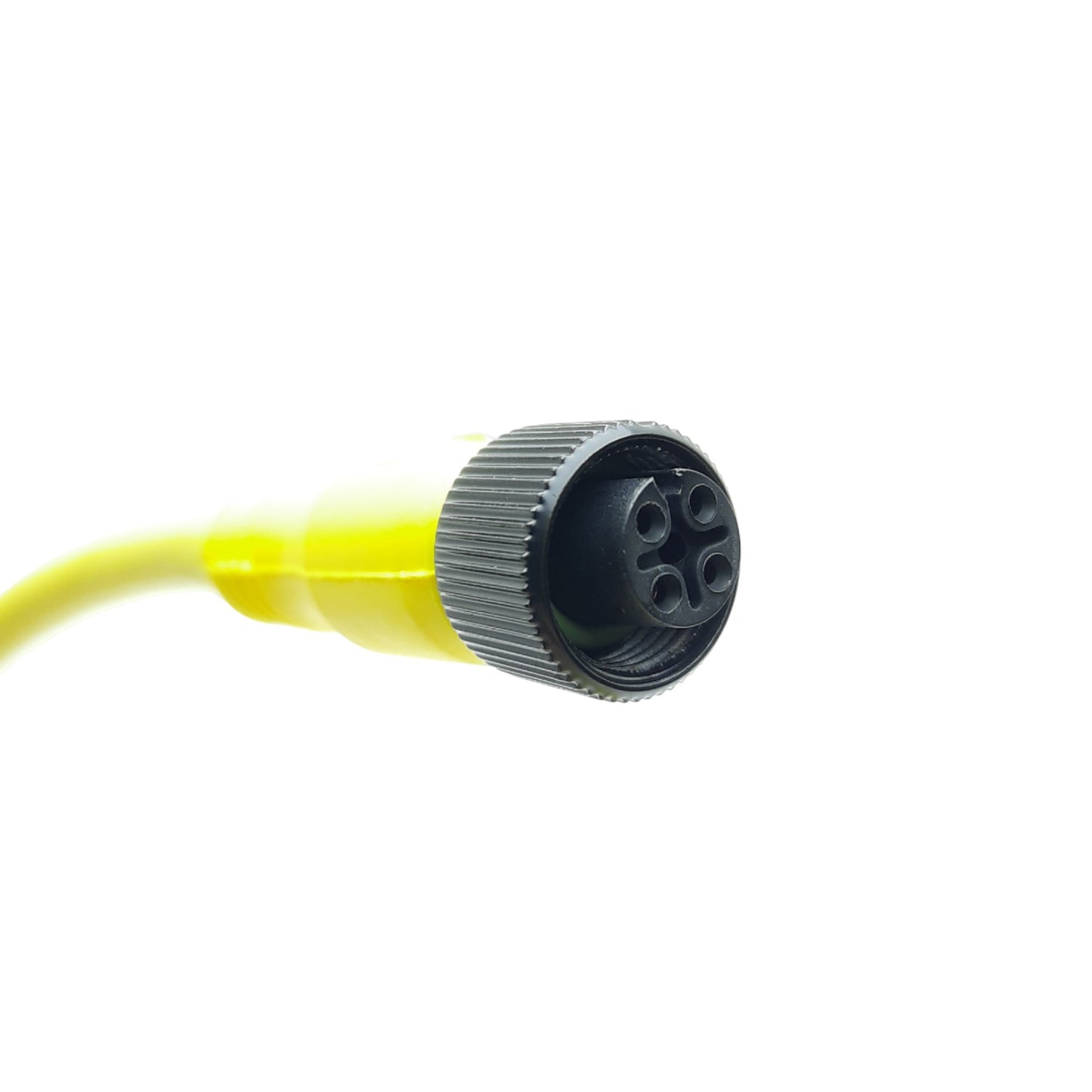 New Allen-Bradley 889D-F4EC-5 QD Cordset Sensor Cable Female, M12 4 Pin 5 Meter