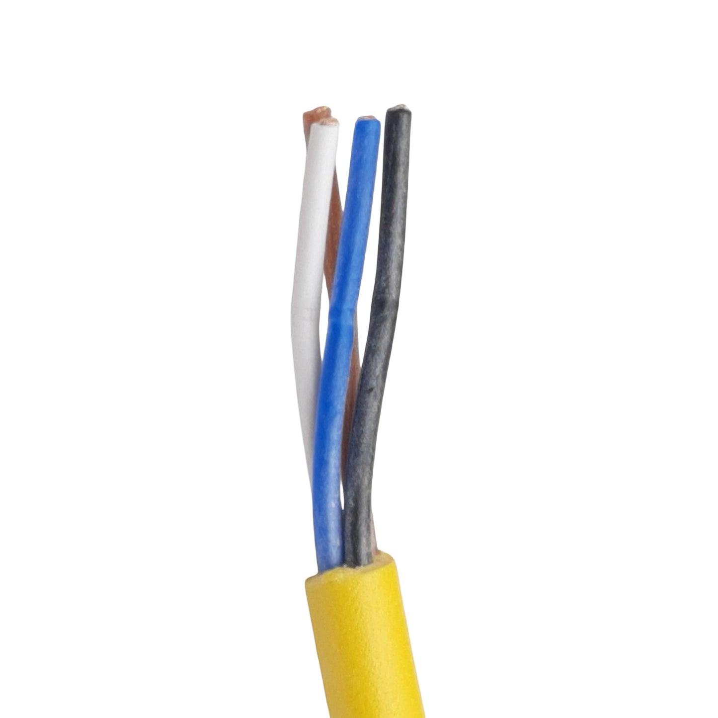 New Murrelektronik 7000-12221-0340500 Cordset 5-Pin M12 Female to Leads 4A 250VAC 5m
