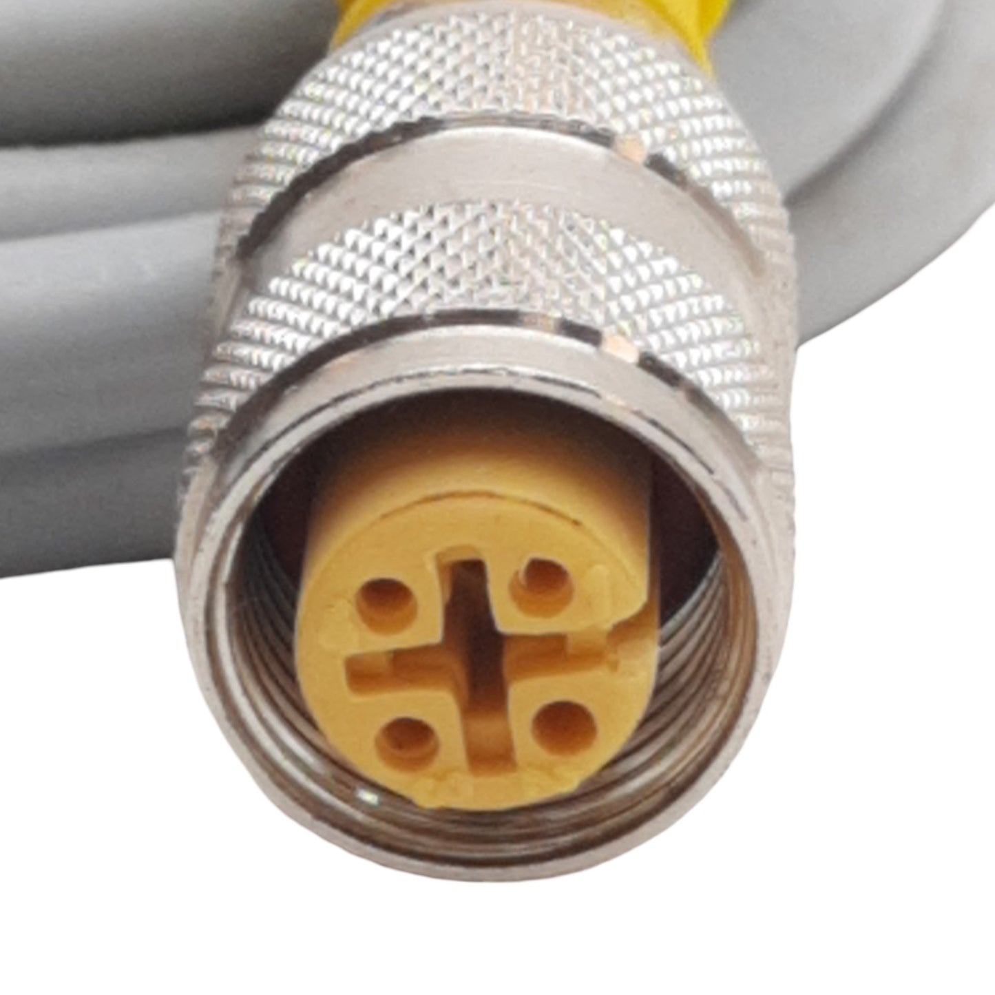 Used Lot of 2 Turck RK 4T-2 Actuator/Sensor Cable M12 4-pin Female, 250V, 4A, 2m