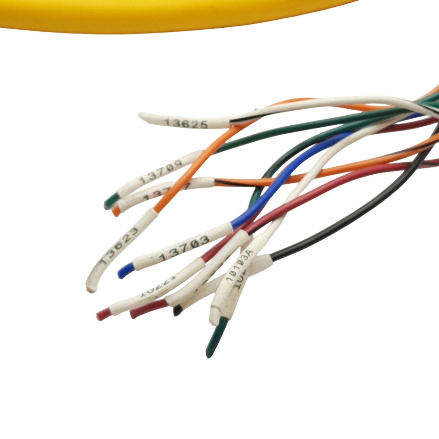 Used Turck RKM 106-5M Single Ended Cable, 1-1/8in 10-Pin Female, 5ft Length, *Cut*