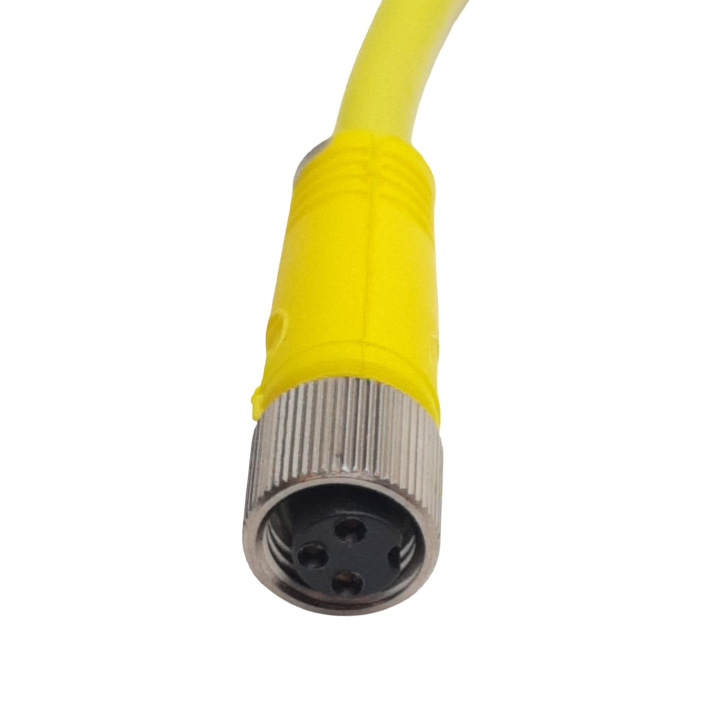 New Allen Bradley 889P-F3AB-5 Cordset, 3-Pin M8 Pico Female to Flying Leads, 5m