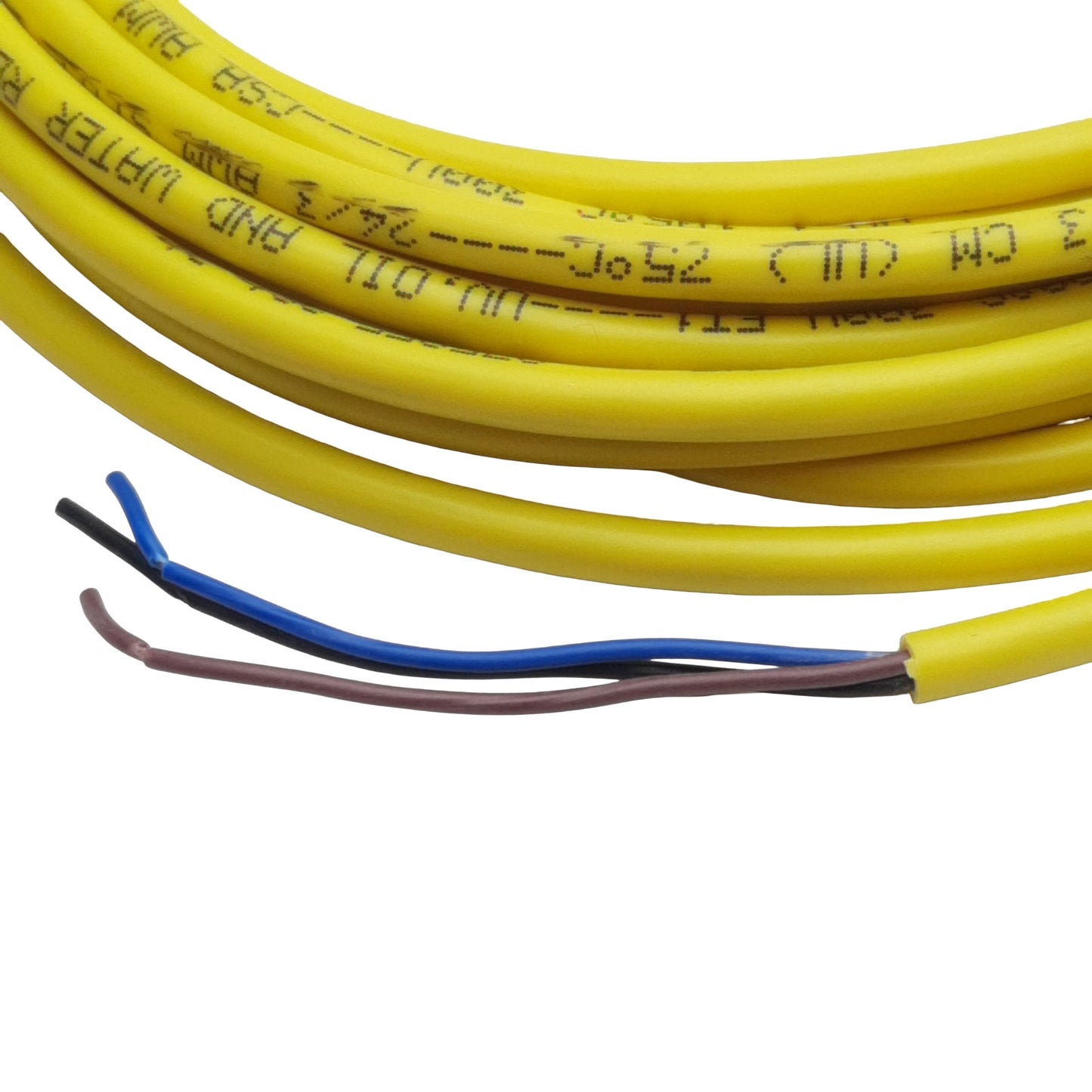 New Allen Bradley 889P-F3AB-5 Cordset, 3-Pin M8 Pico Female to Flying Leads, 5m