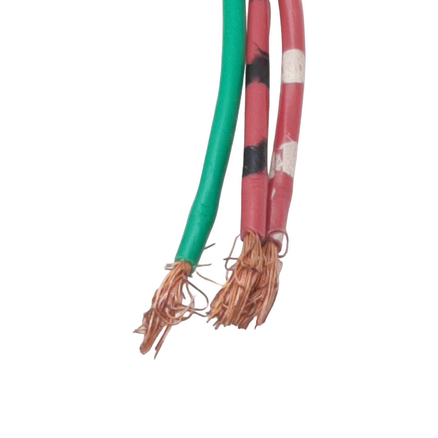 New BradConnectivity 103000K02F120 Cordset 3P Size A Mini-Change Female to Leads 12'