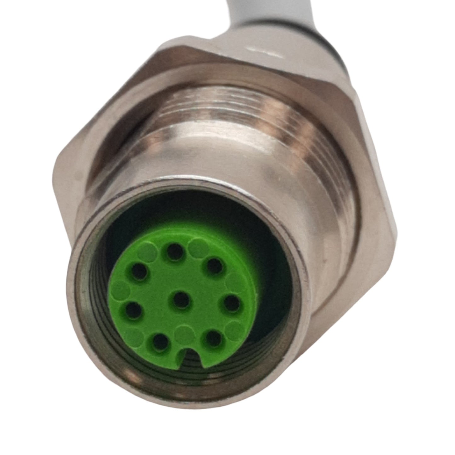 New Murrelektronik 7000-17197-2920100 M12 Female Receptacle 1m Length, 30VAC/DC, 2A