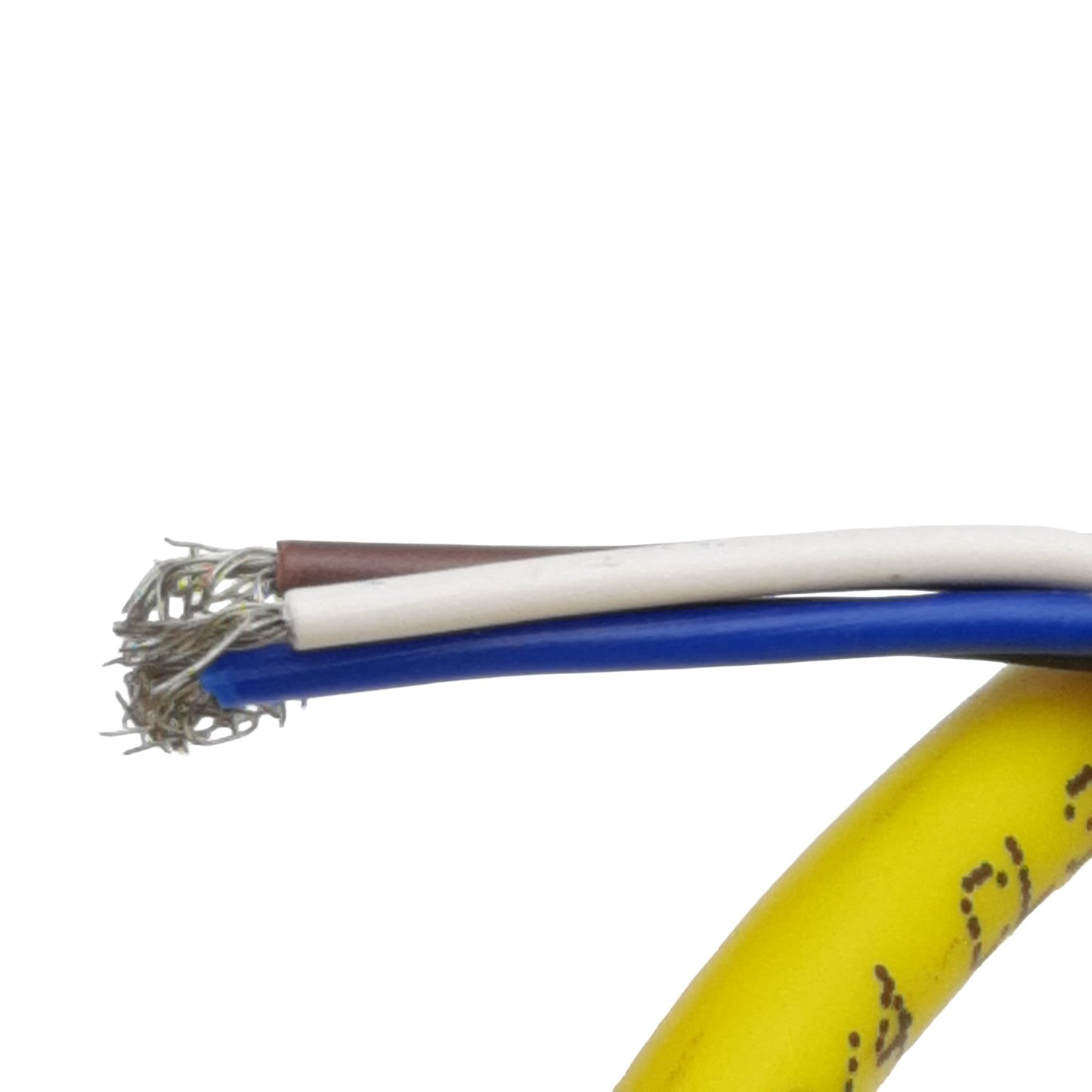 New Allen Bradley 889D-F4ACDM-2 Cordset, 4-Pin M12 Male to Leads, 4A 250VAC, 2m