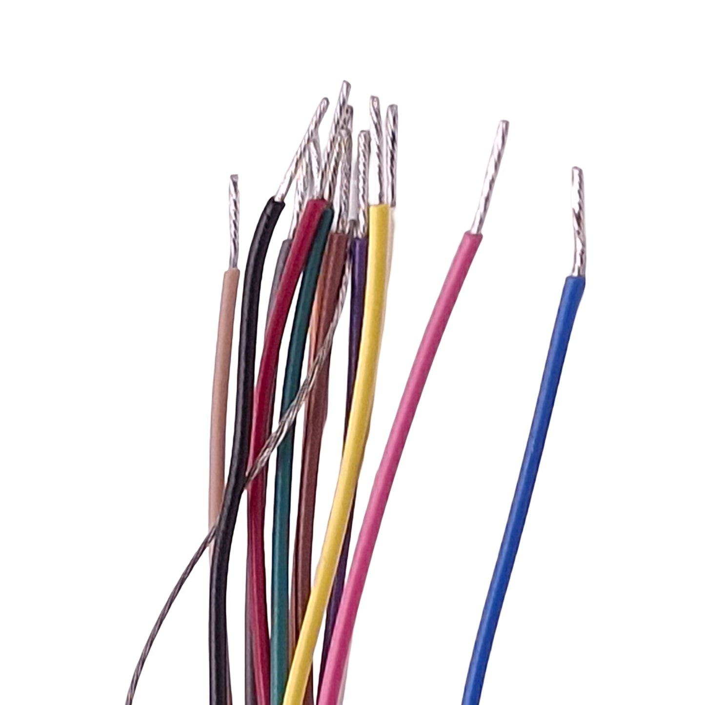 New Animatics CBLIP-IO-FL-3M/RA Cordset, 12-Pin M12 Male to Leads, 250VAC 4A, 3m