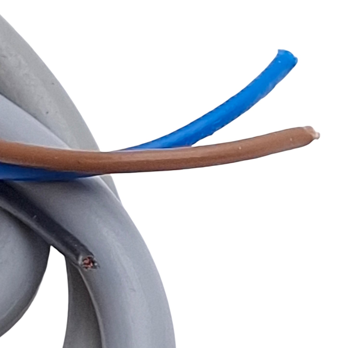 Used Automation Direct PD1-AN-1A Proximity Sensor, NPN NO, 0.8mm Range, 10-30VDC, M5