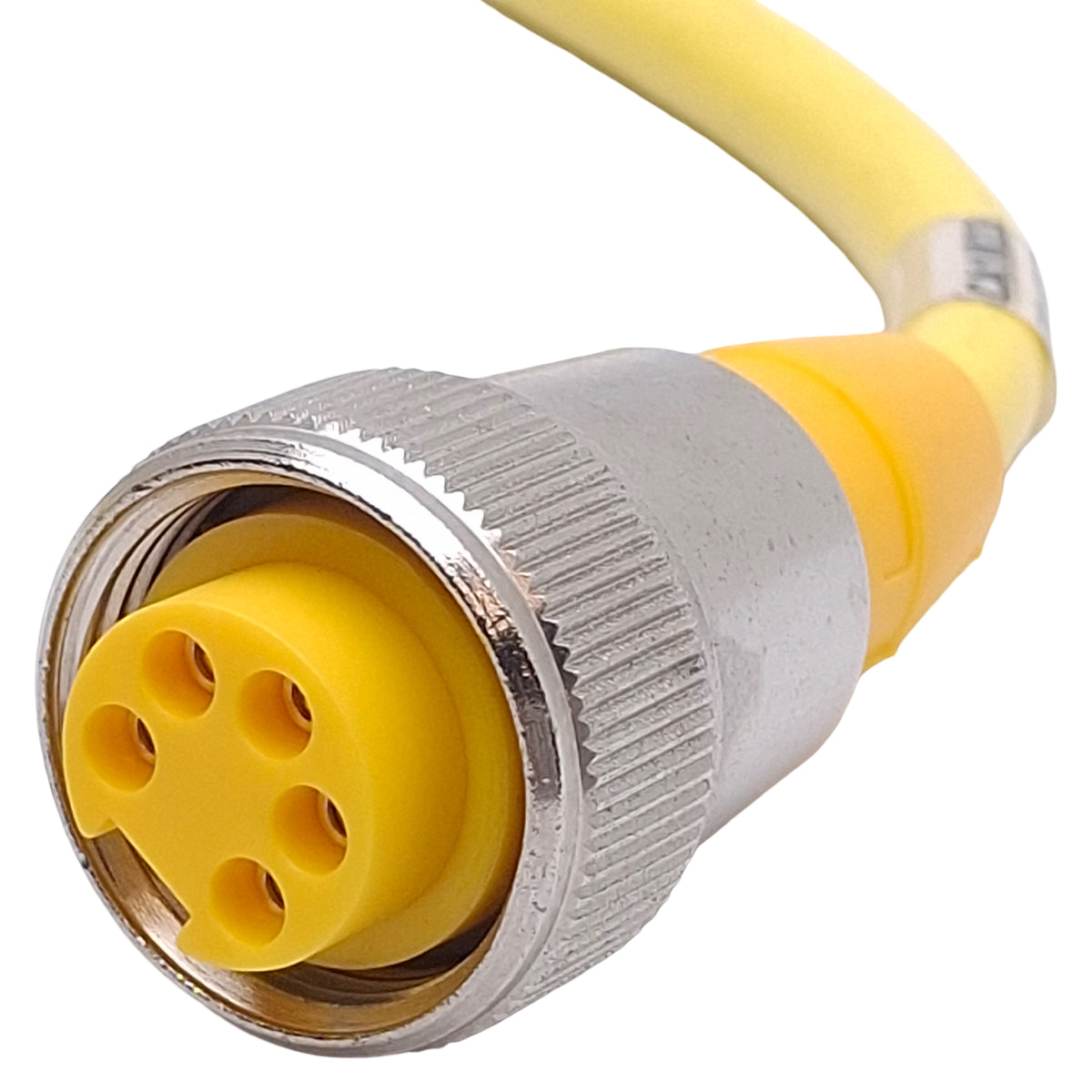 Used Turck RKM 50-6M Single Ended Cordset 7/8in-16UN 5-Pin Minfast Female, 6m