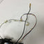 Used Hamamatsu H957-06 Photomultiplier Module on Cleveland Precision Slide