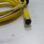 Used Lot of 2 Turck U2515-65 Cable, 4' long, 3 Conductor, M8 Female Connector