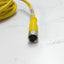 Used Lot of 2 Turck U2515-65 Cable, 10' long, 3 Conductor, M8 Female Connector
