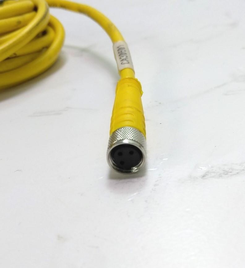 Used Lot of 2 Turck U2515-65 Cable, 10' long, 3 Conductor, M8 Female Connector